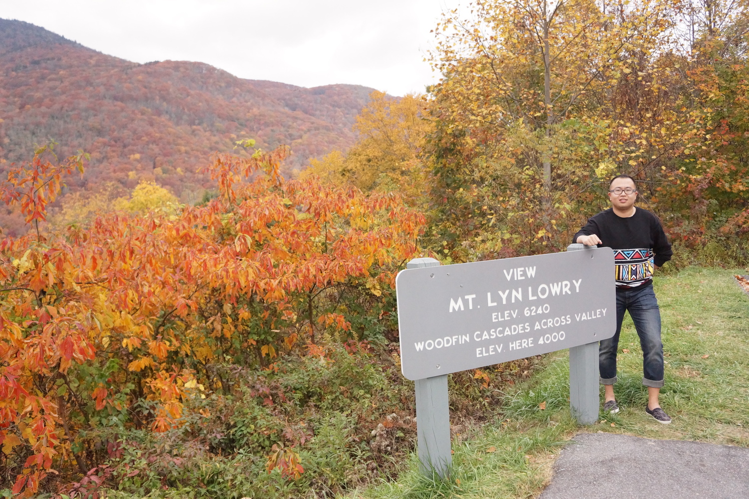 Woolyback Overlook