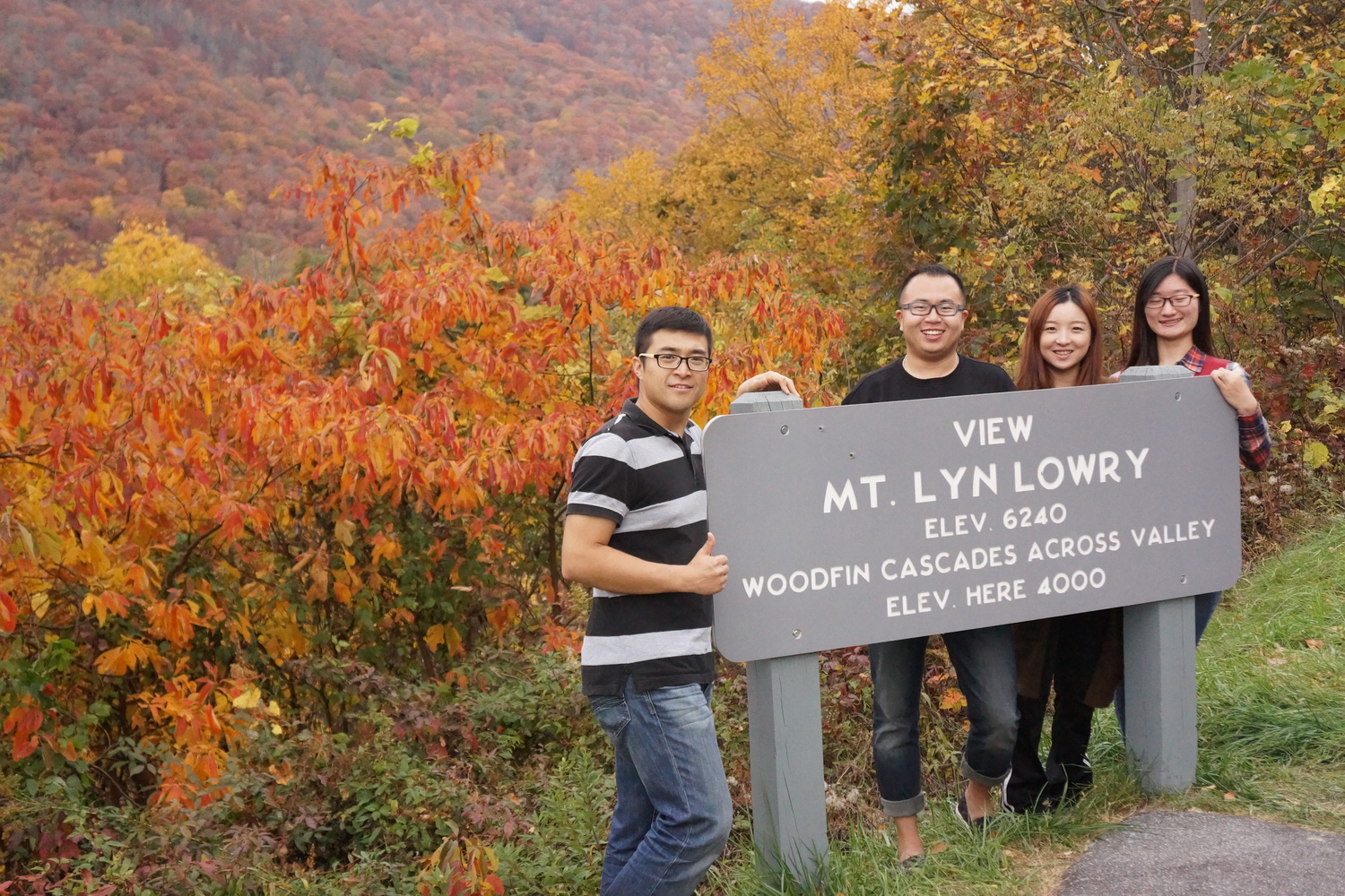 Woolyback Overlook