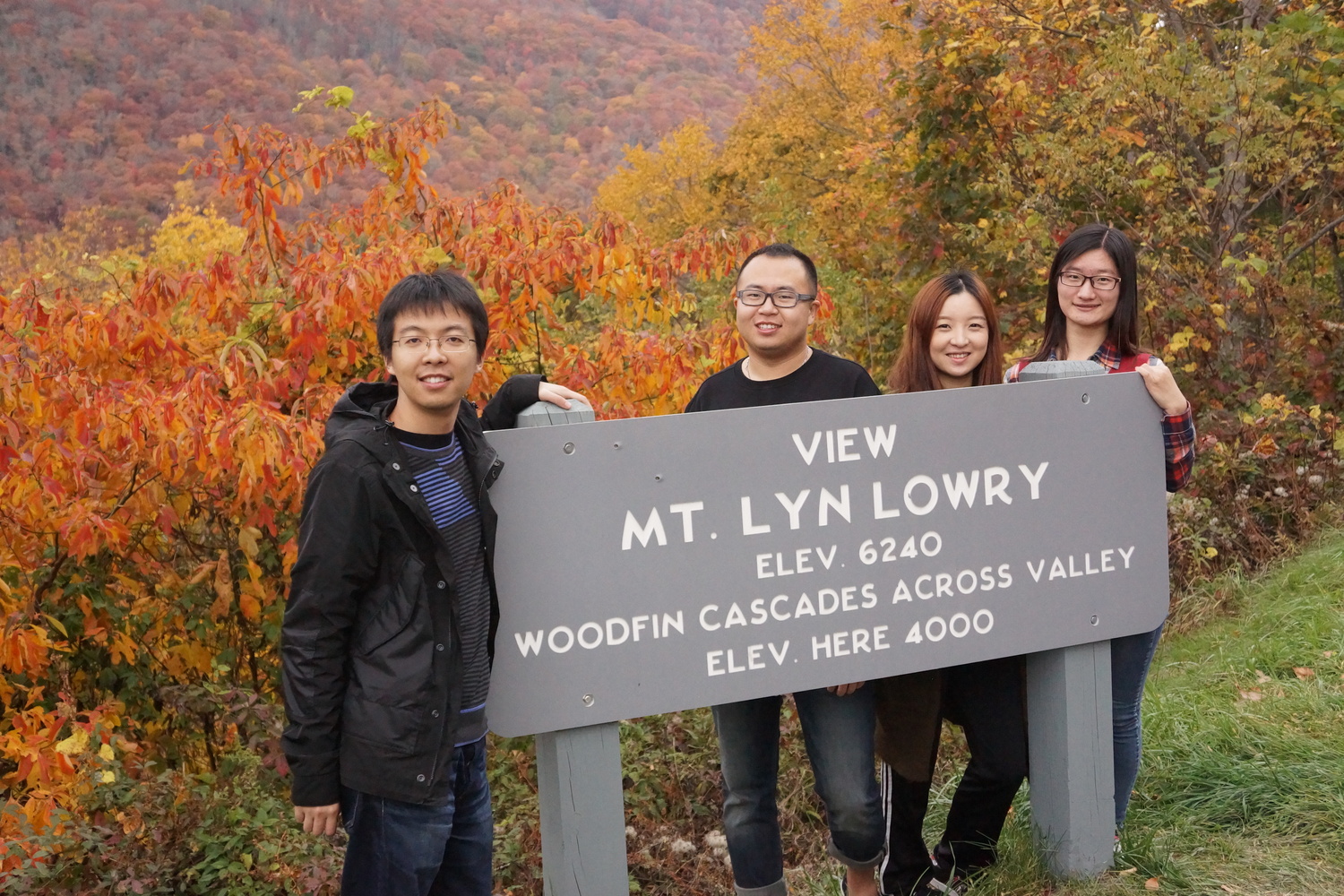 Woolyback Overlook