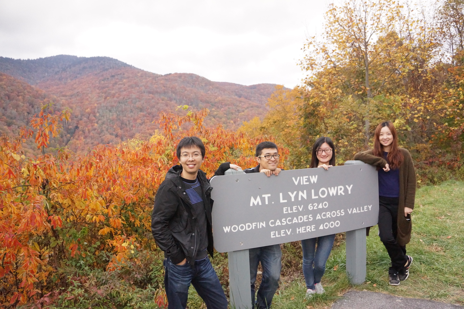 Woolyback Overlook