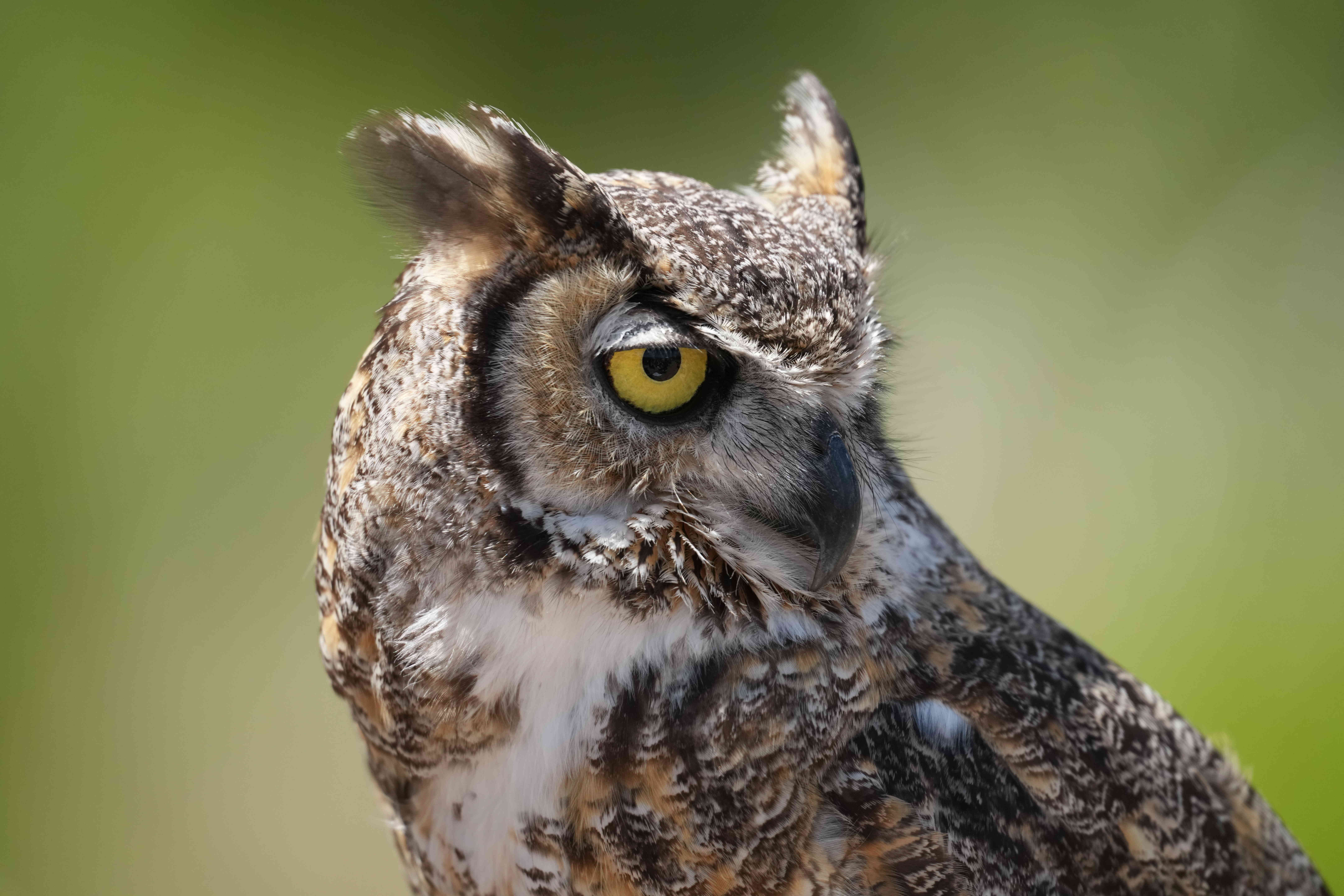 Processed Image, Resolution 8640x5760, Quality 30, Size 1.4 MB