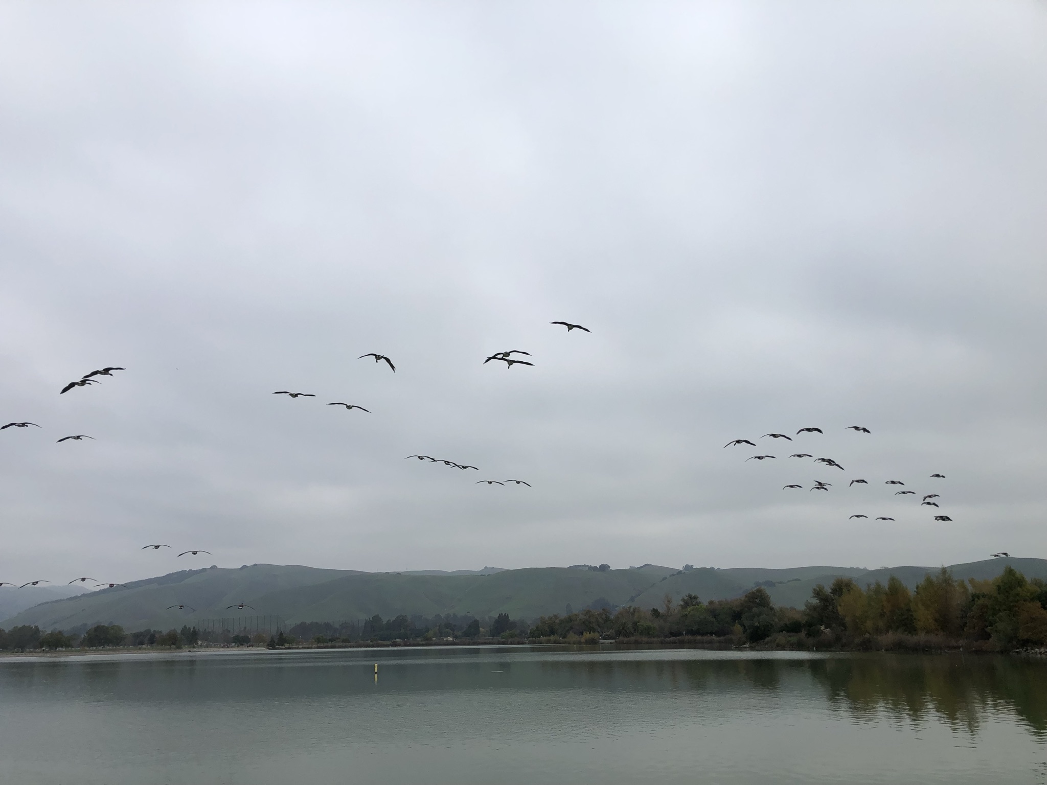 几个飞行中队在湖面上降落