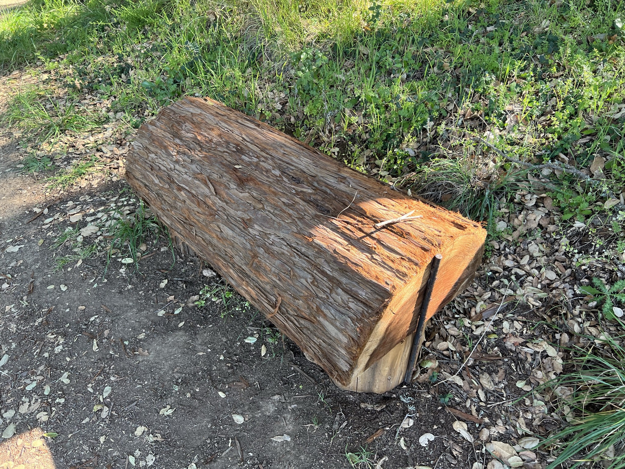 树桩做的凳子