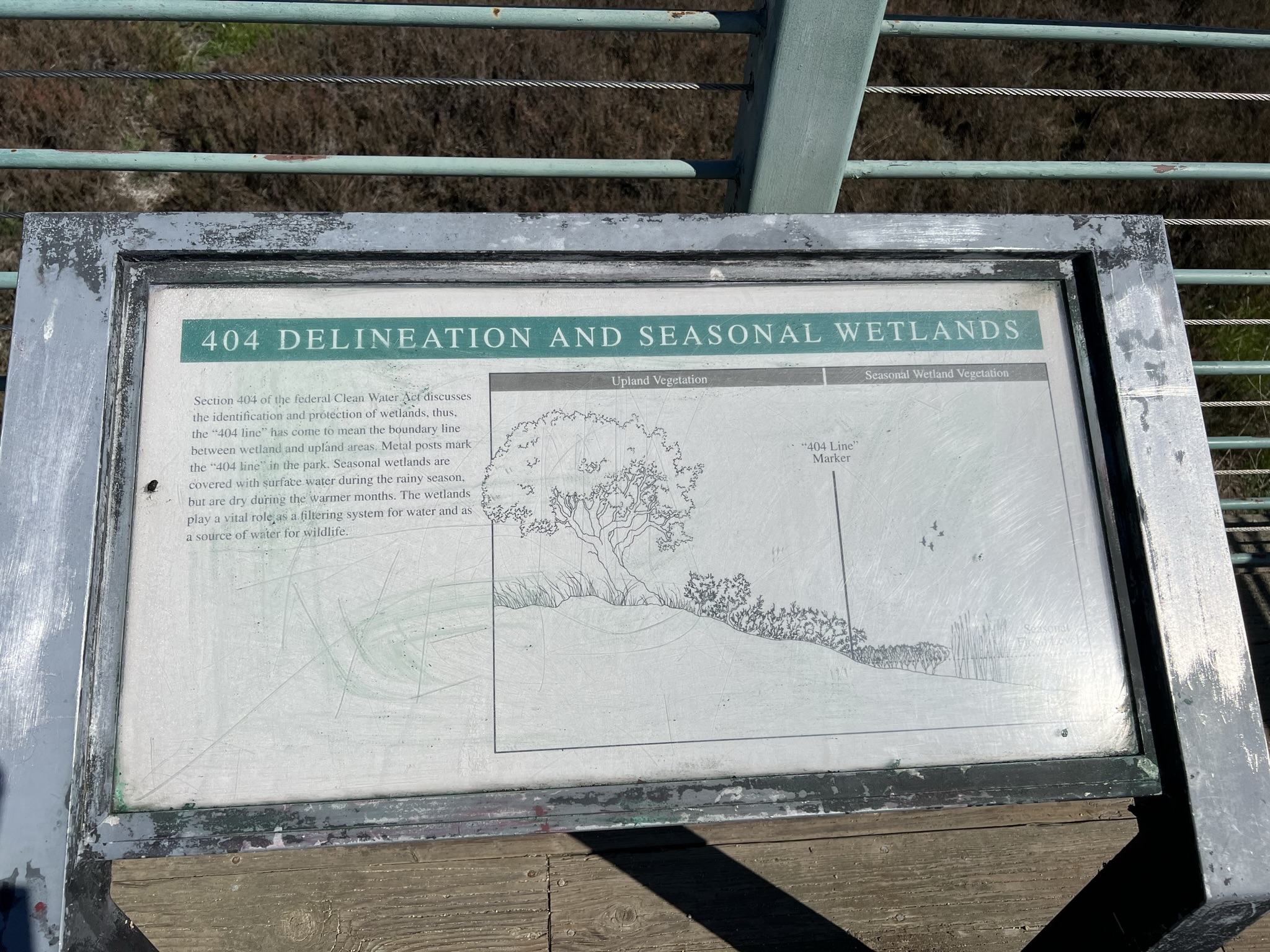 为了保护湿地，公园特地设置了栅栏
