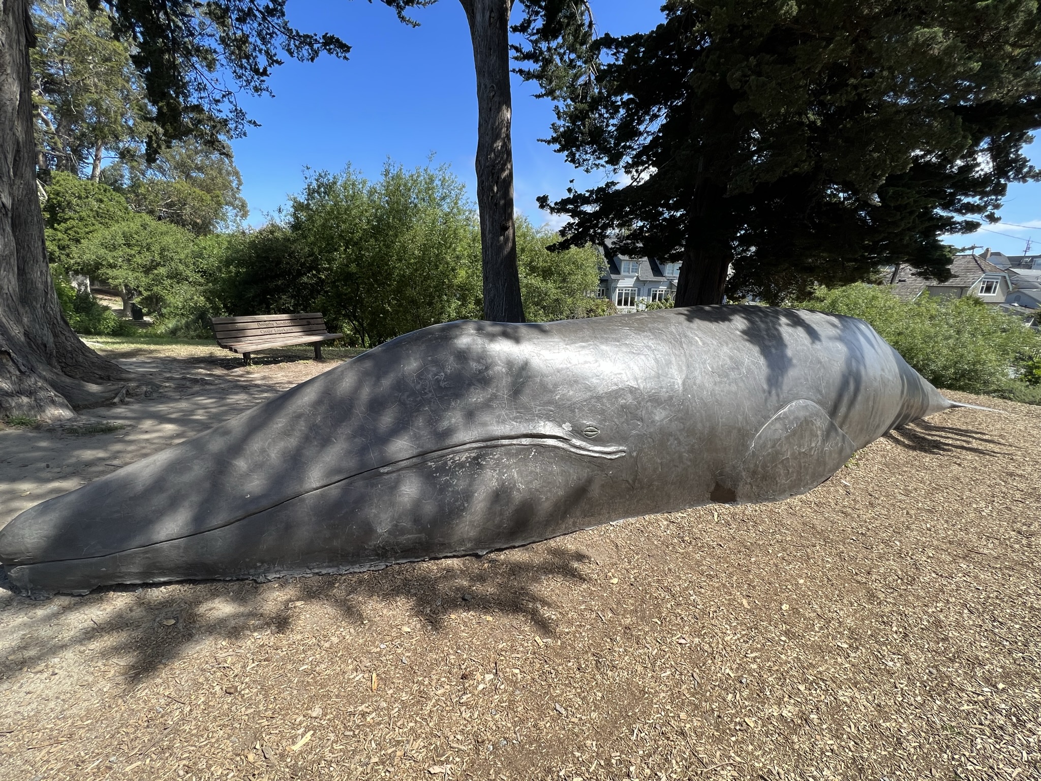 博物馆外有个鲸鱼雕塑