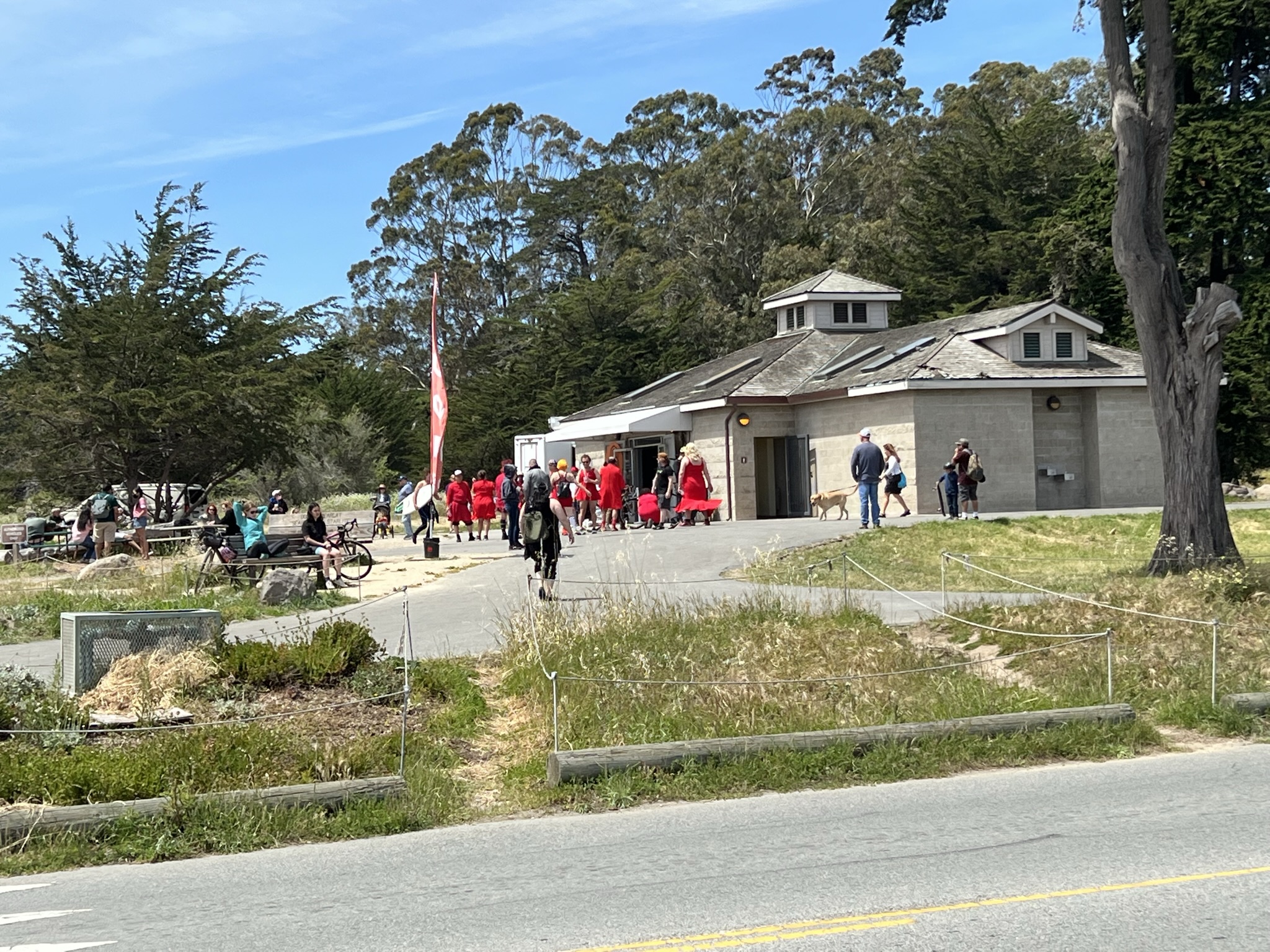 今天去 Santa Cruz 的时候发现到处都是穿着红色长裙穿着丝袜的男人在跑步，后来去查了查，才知道是一年一度的 Red Dress Run