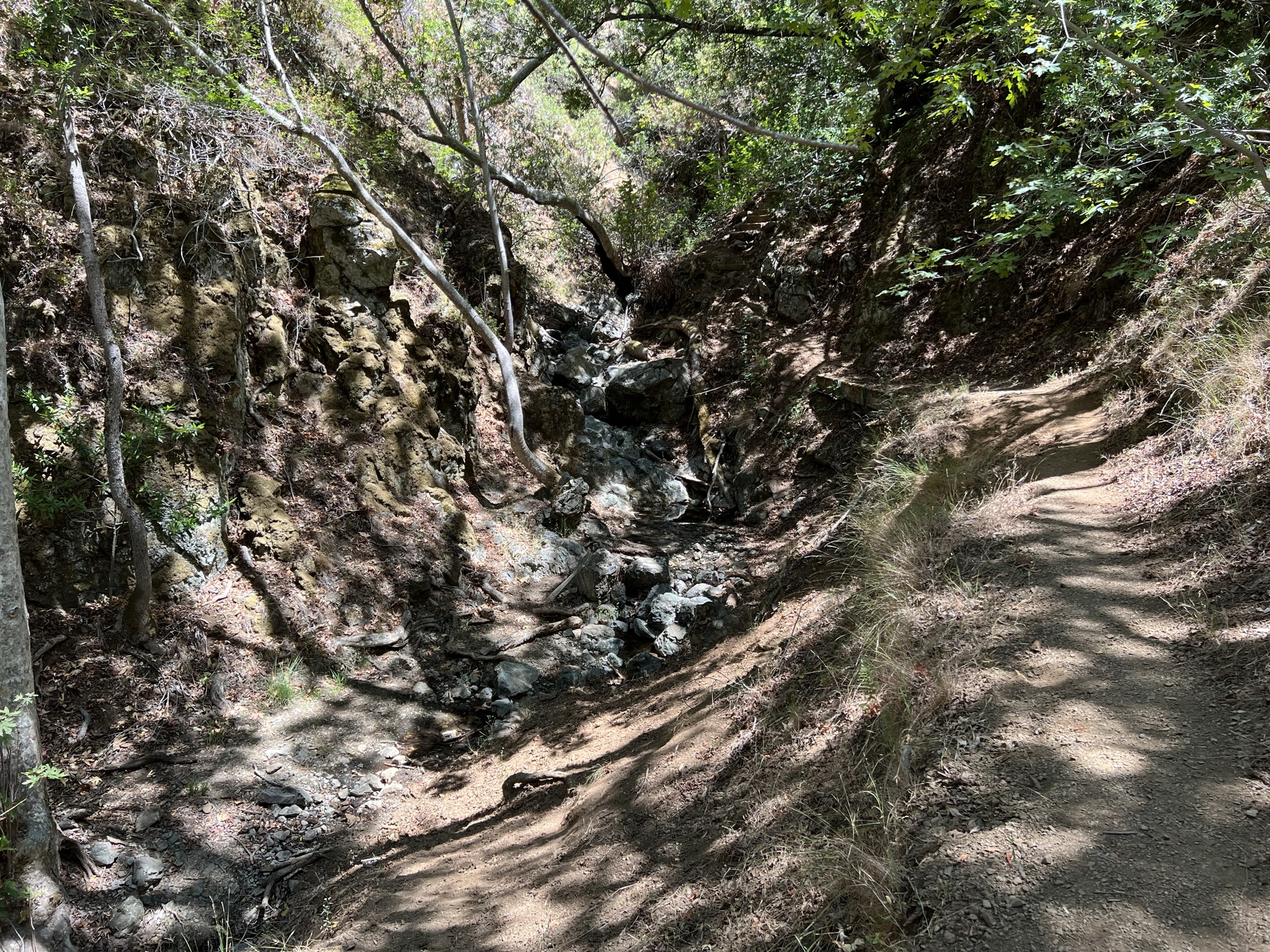 Eagle View Trail 里，光想去那个台阶就十分危险，后面还有更危险的