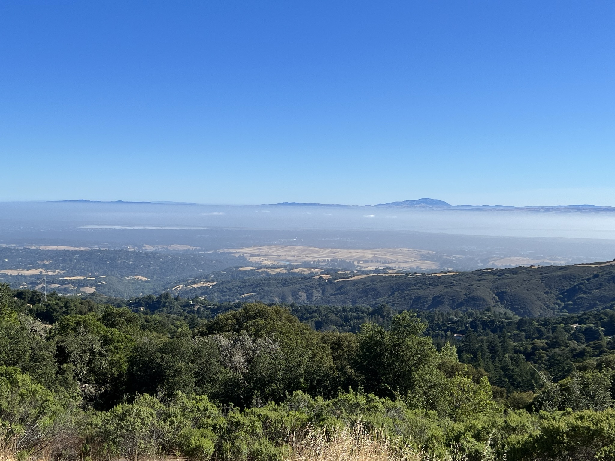 Silicon Valley Vista Point 俯瞰