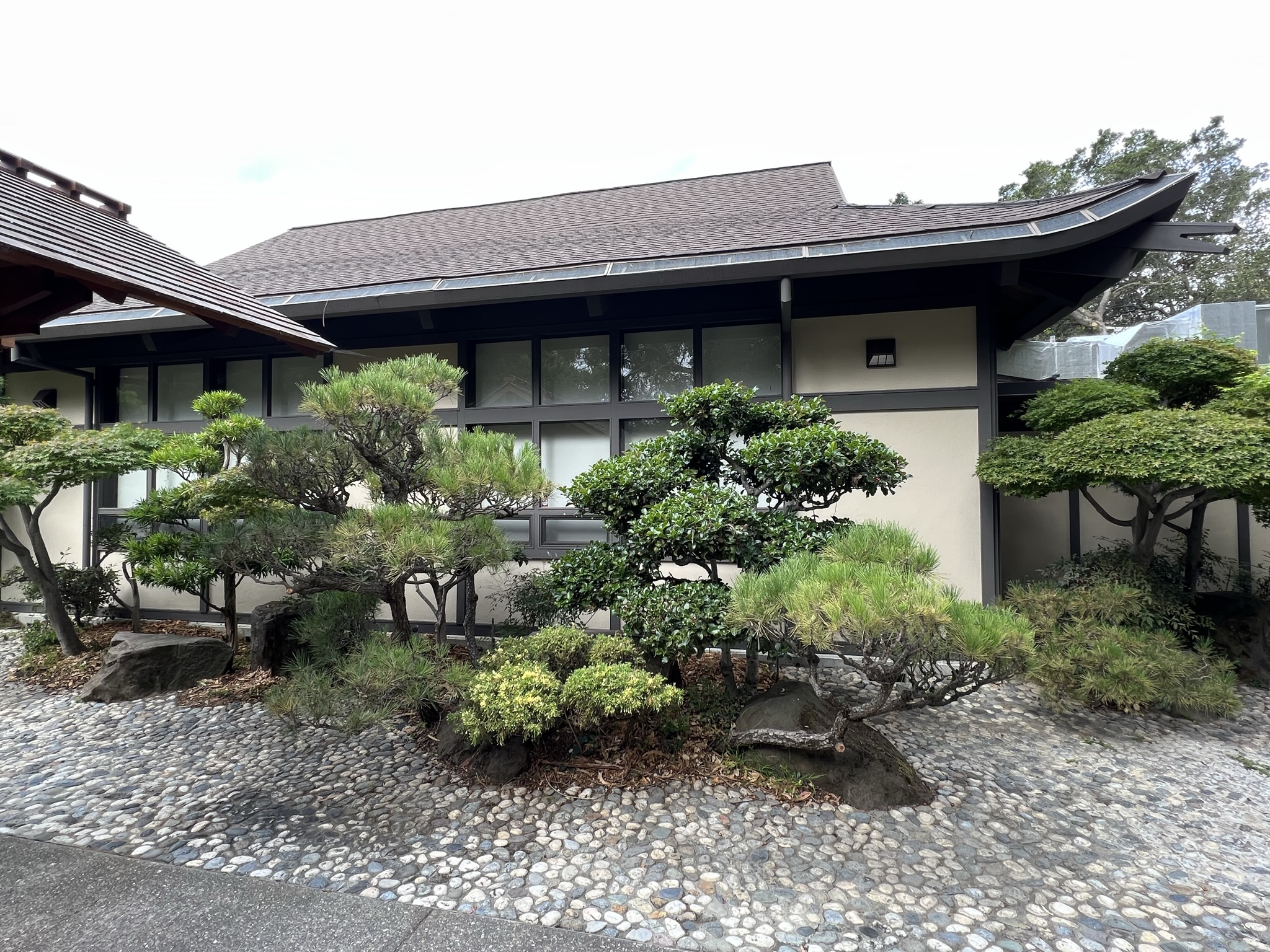 建筑和树木都是日本风格的