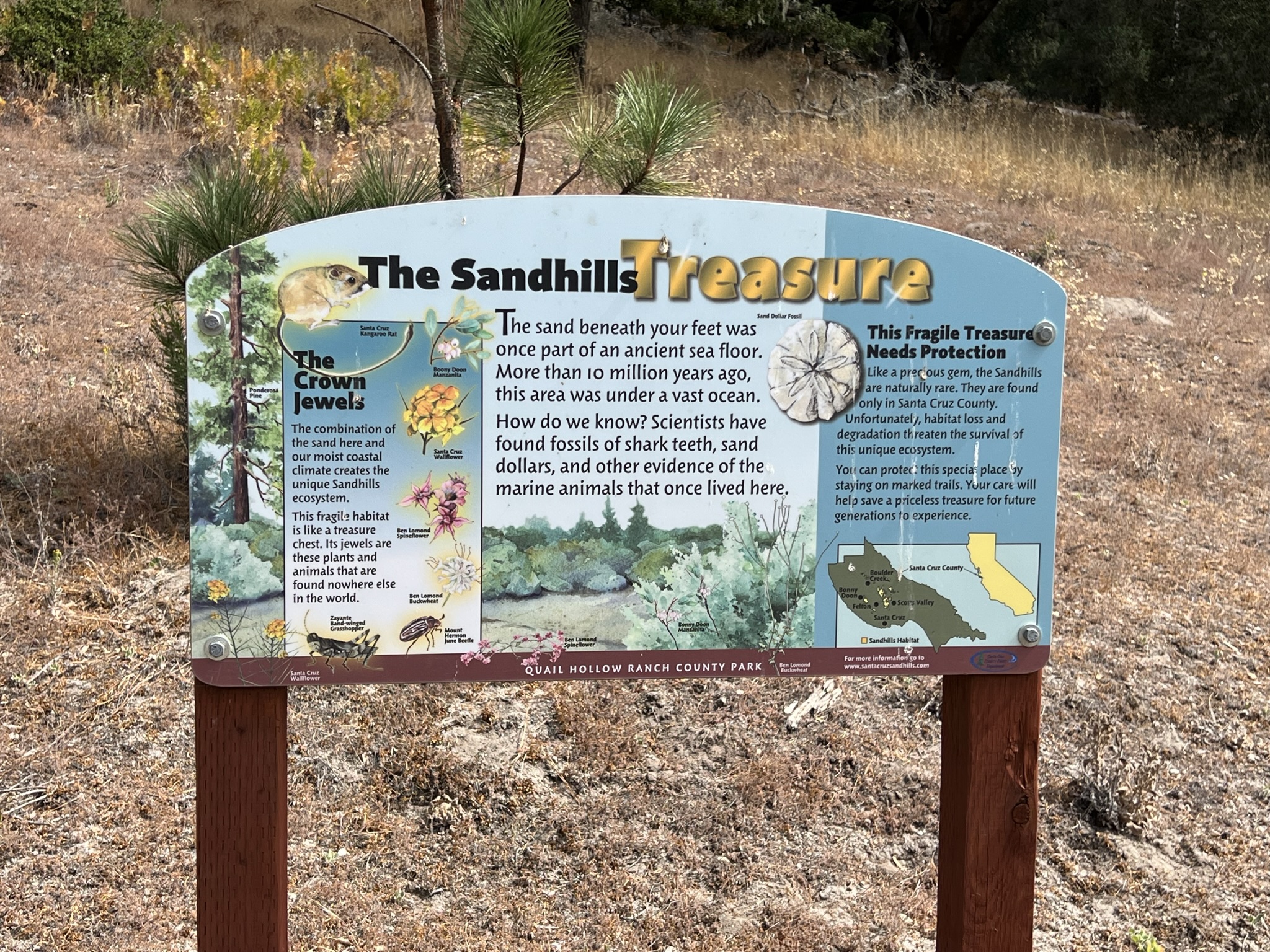 Sandhills 只在 Santa Cruz County 有，原来山上全是沙子的原因是这里在 1000 万年前原来是海床，根本不是什么人工沙
