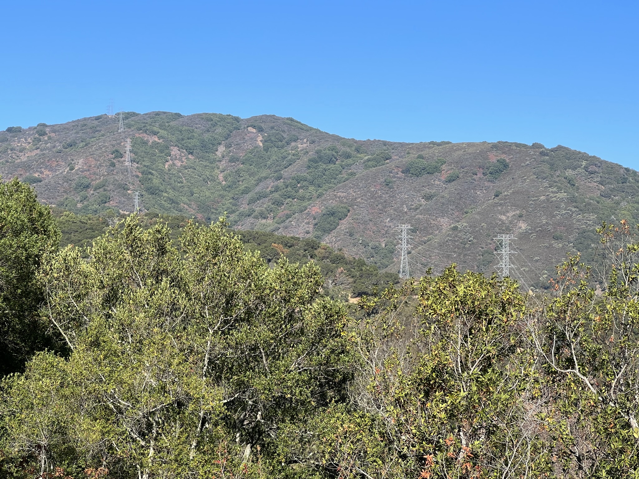 这些电线杆通到 Mount El Sombroso 山顶