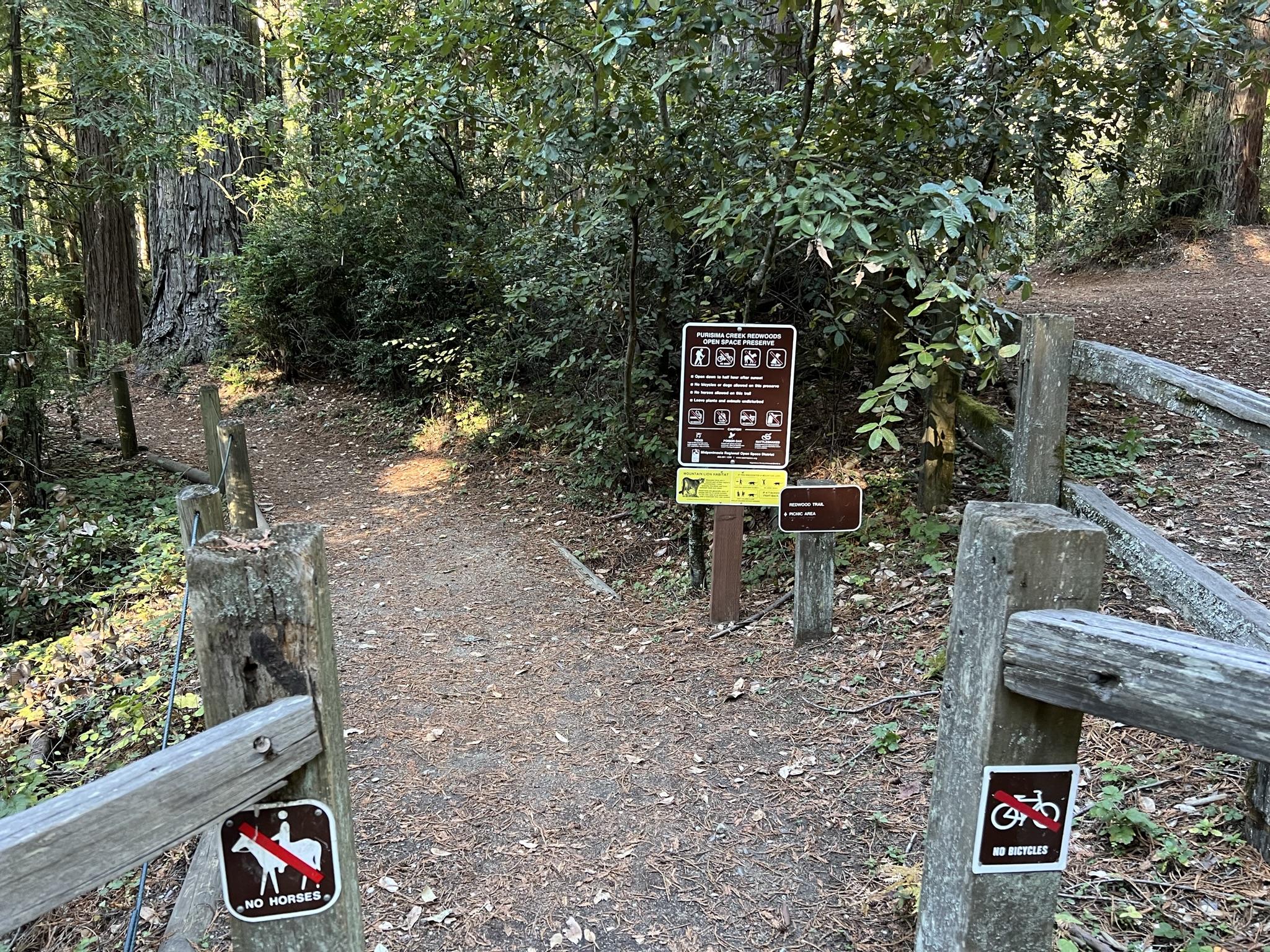 进入 Redwood Trail