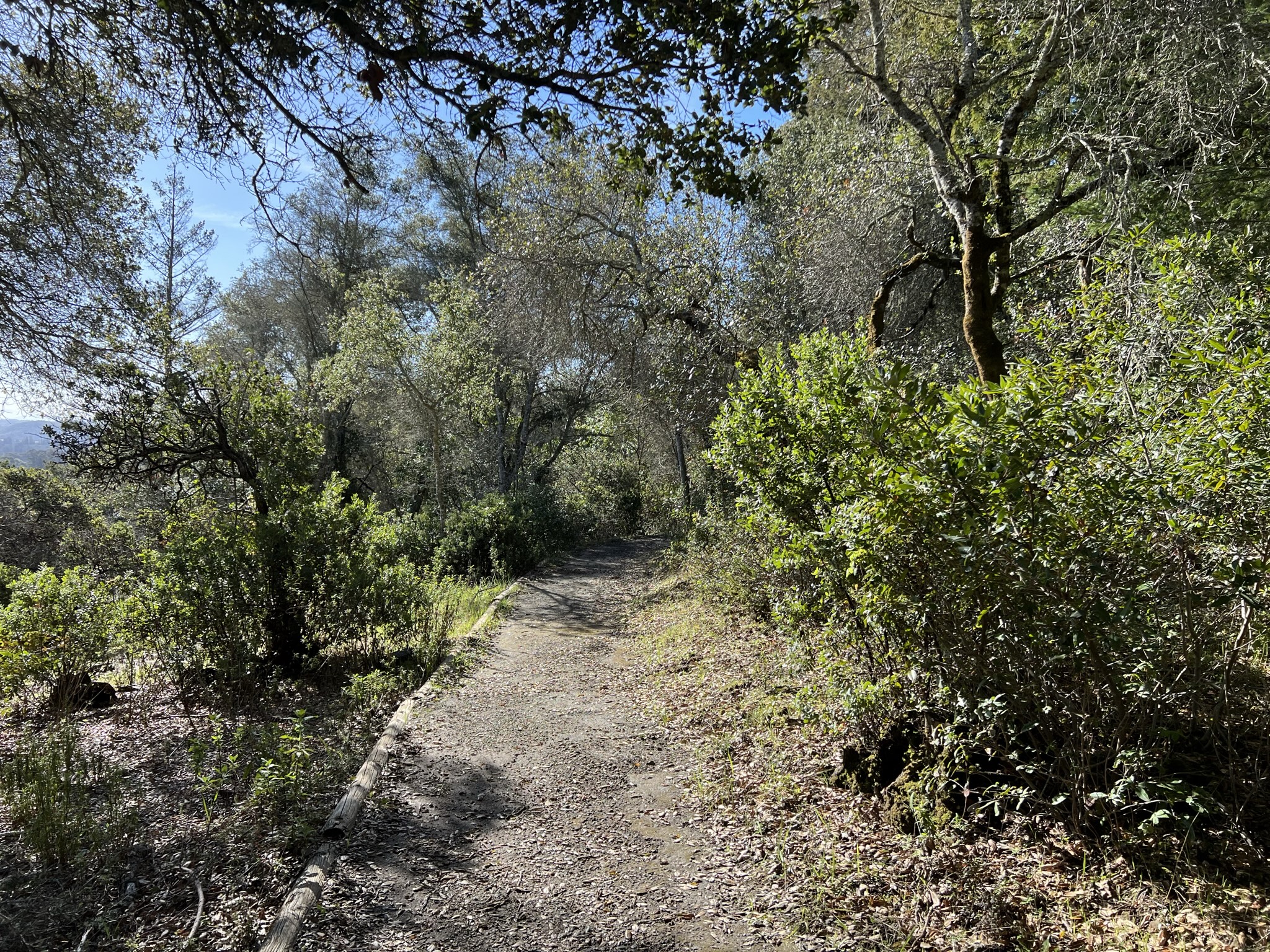 Chickadee Nature Trail