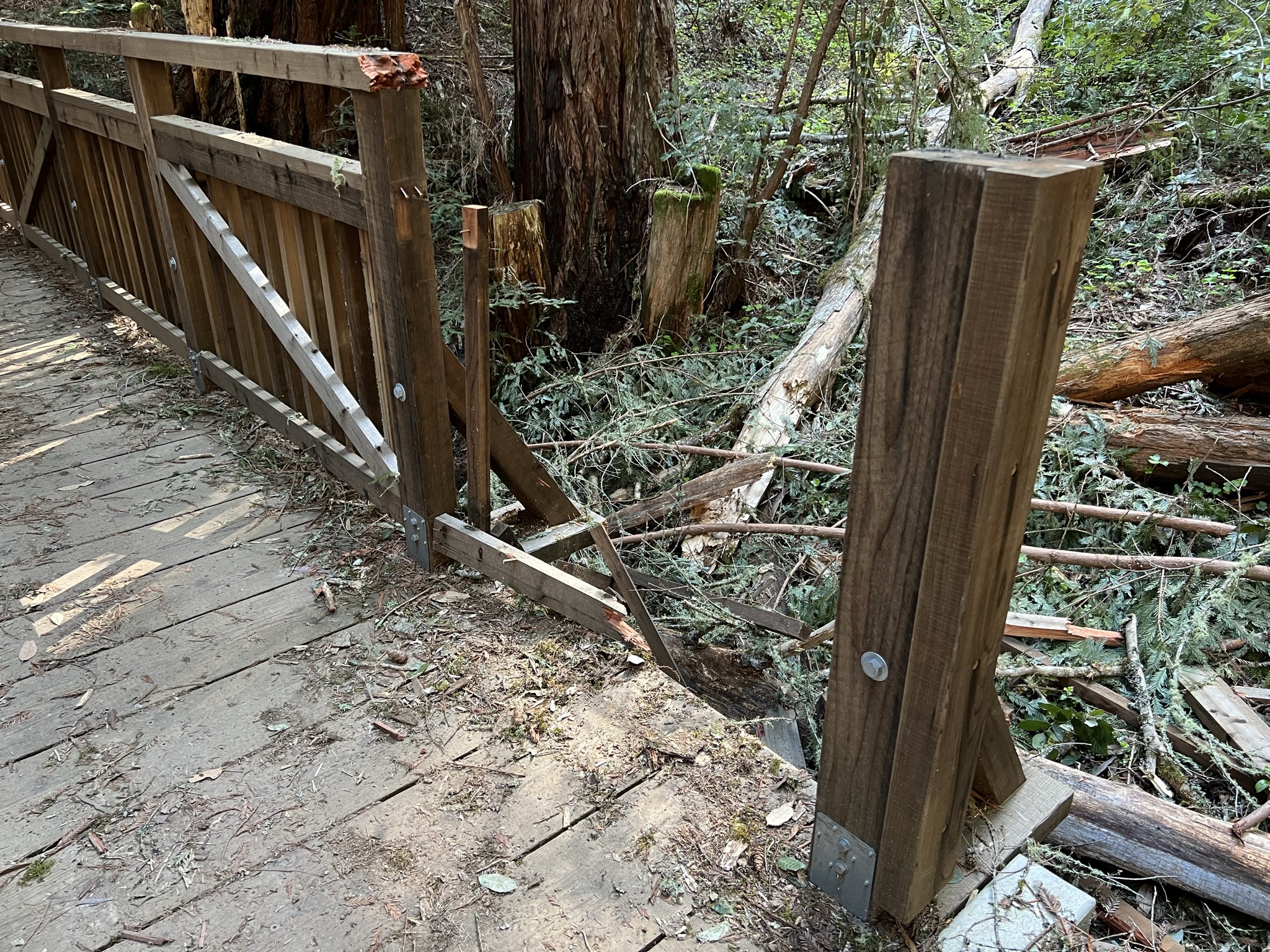 木桥被倒下的树砸坏了