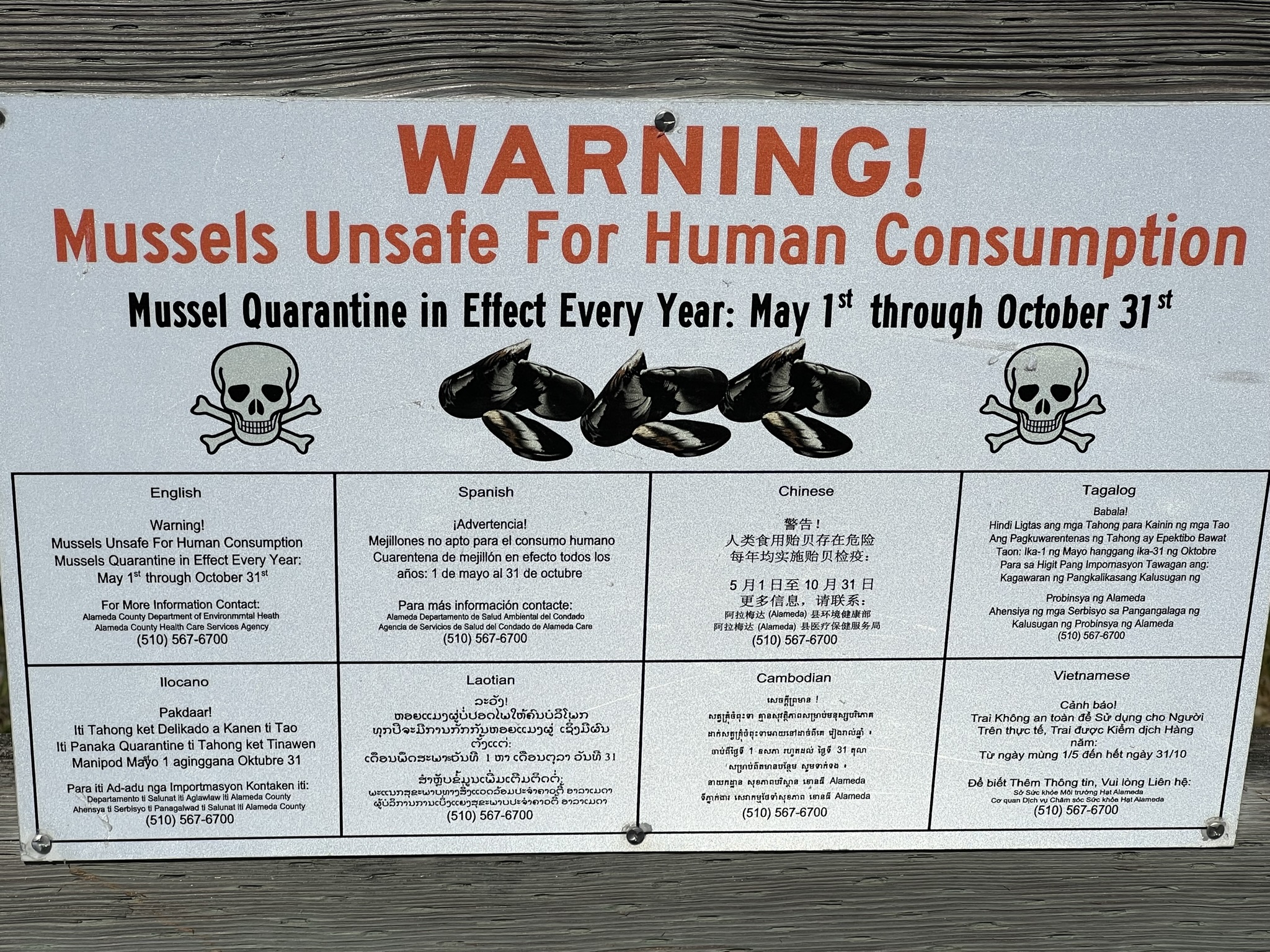 在美国吃牡蛎要小心，可能有毒有害，人类污染环境的后果