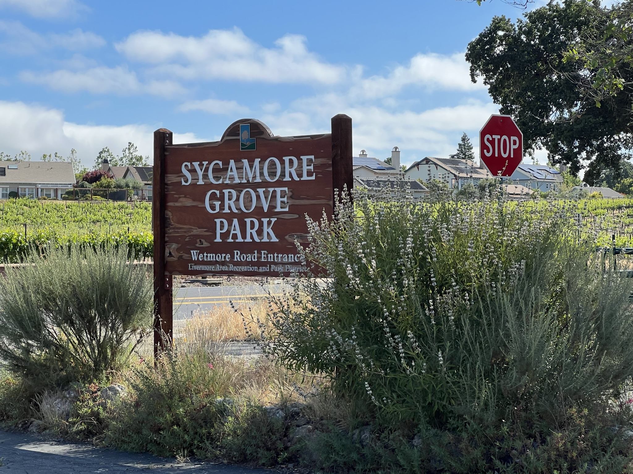 Sycamore Grove Park