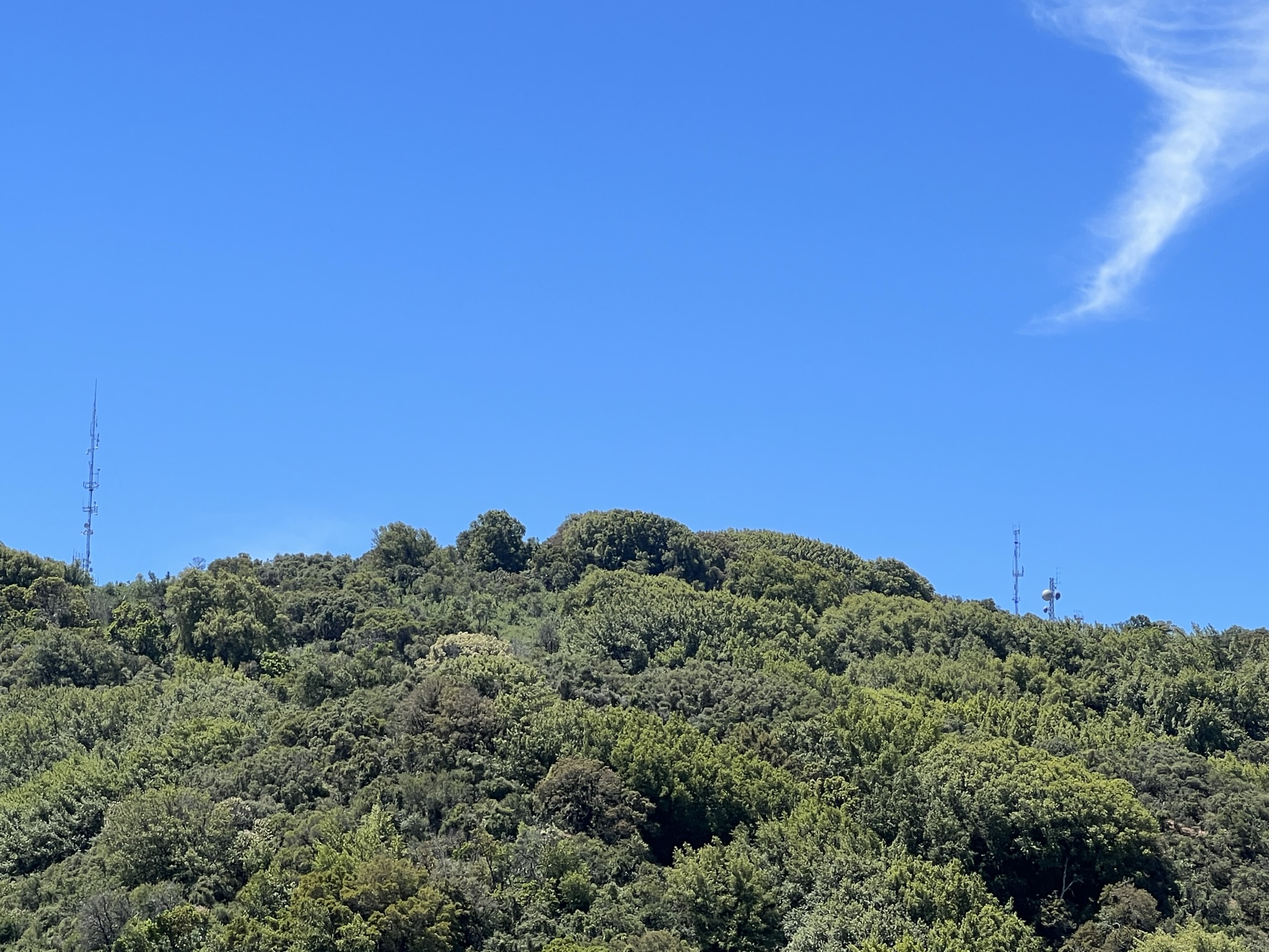 Black Mountain山顶的Radio Tower，今天就不去了