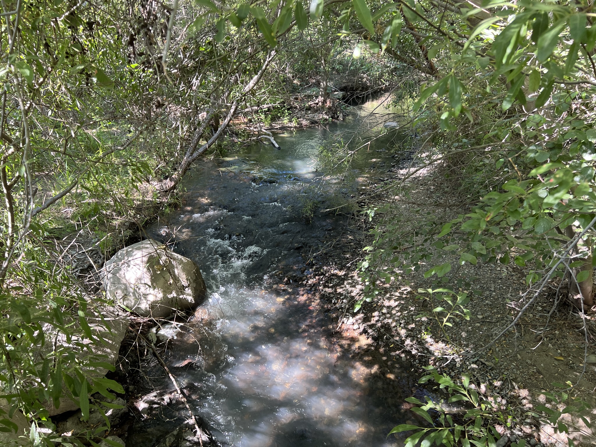 Stevens Creek