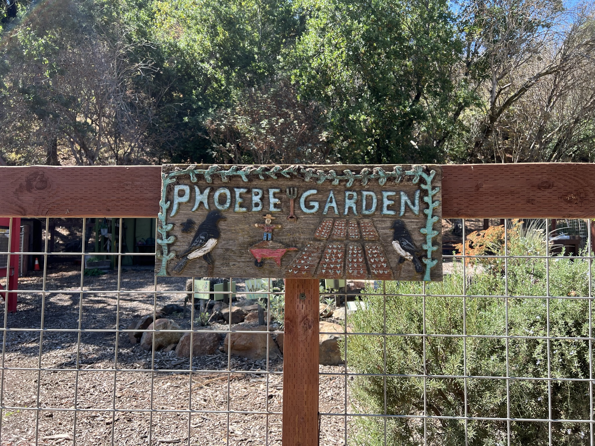 Phoebe Garden