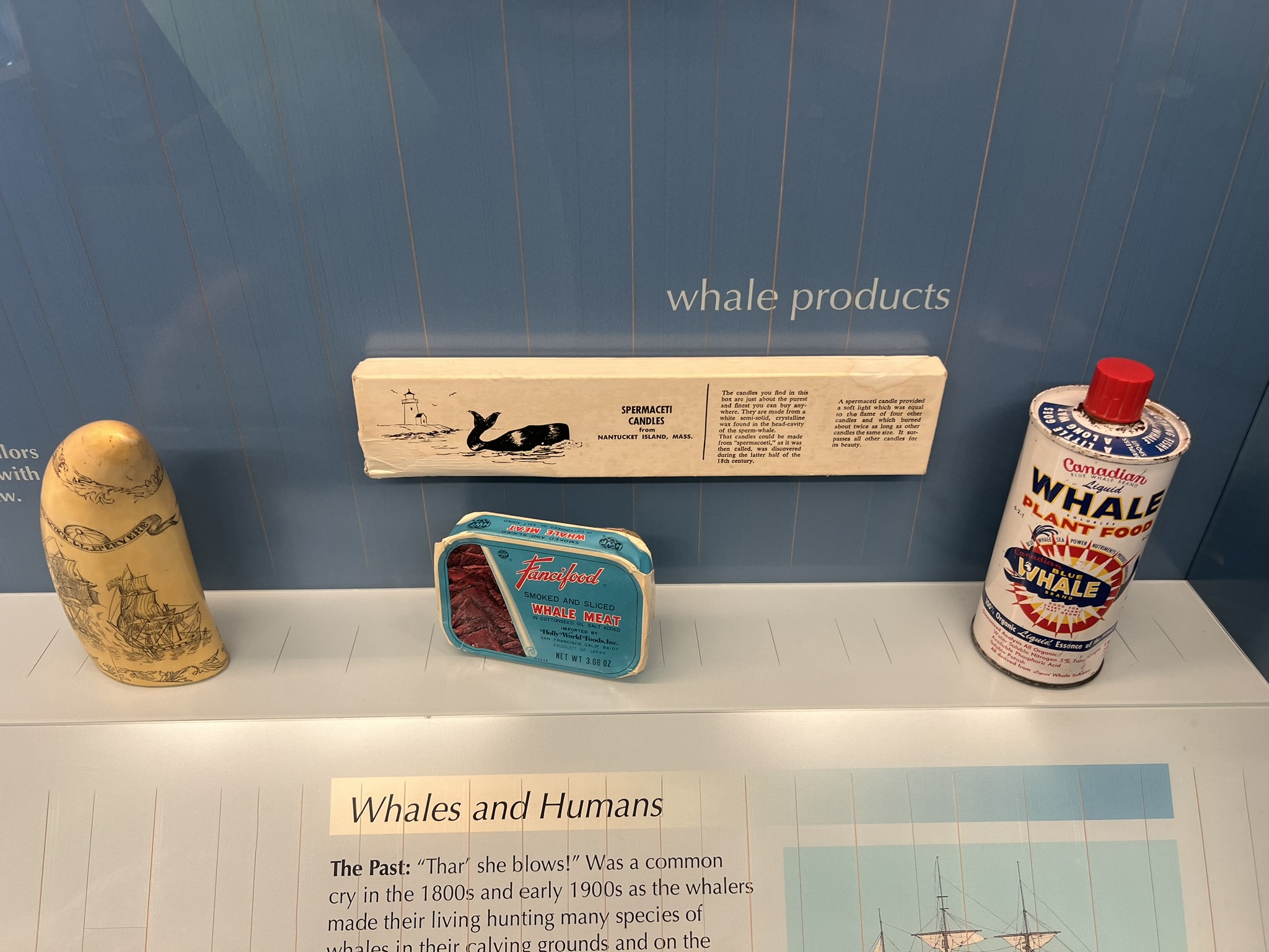 鲸鱼的产品