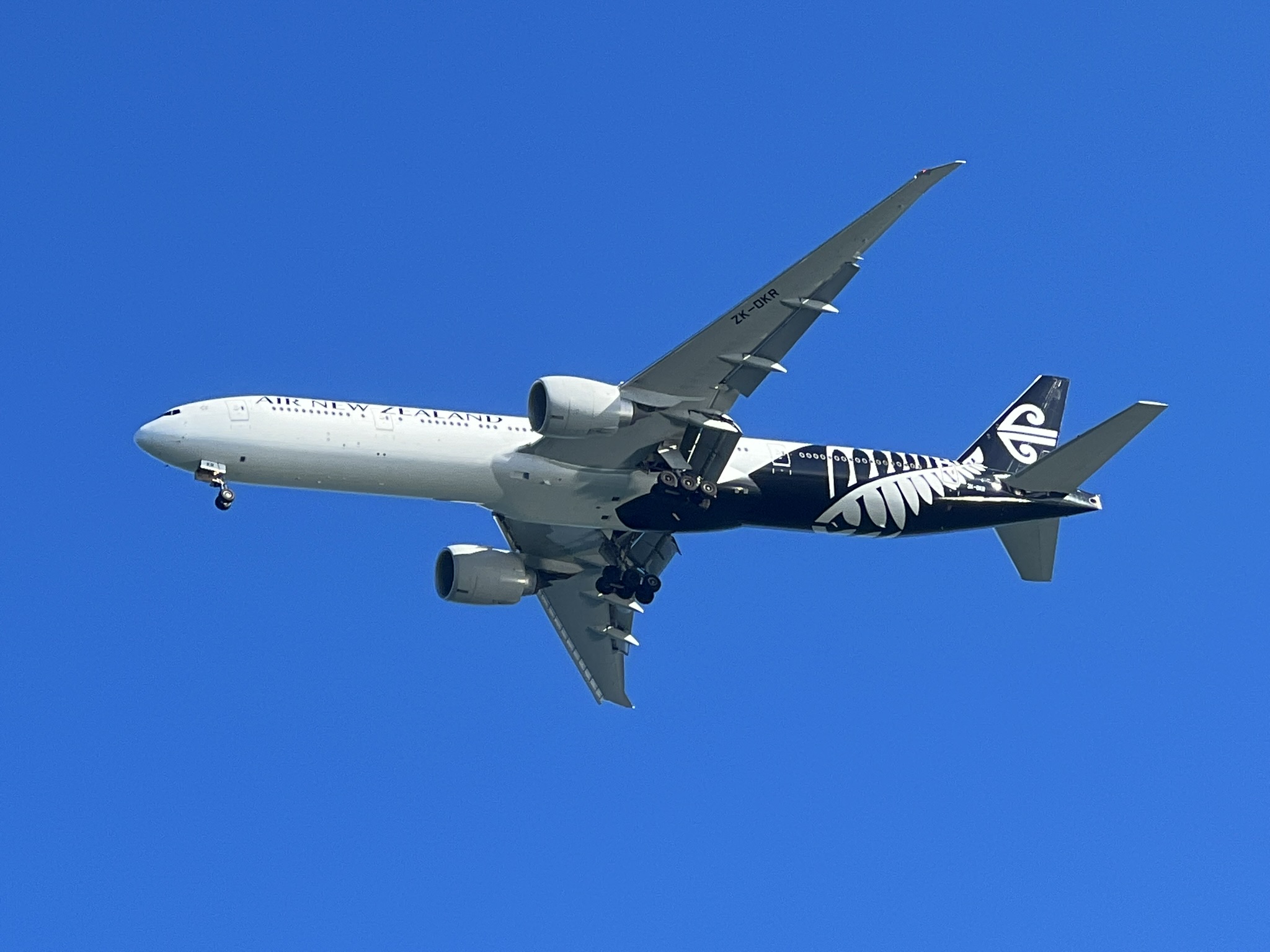 新西兰航空的飞机