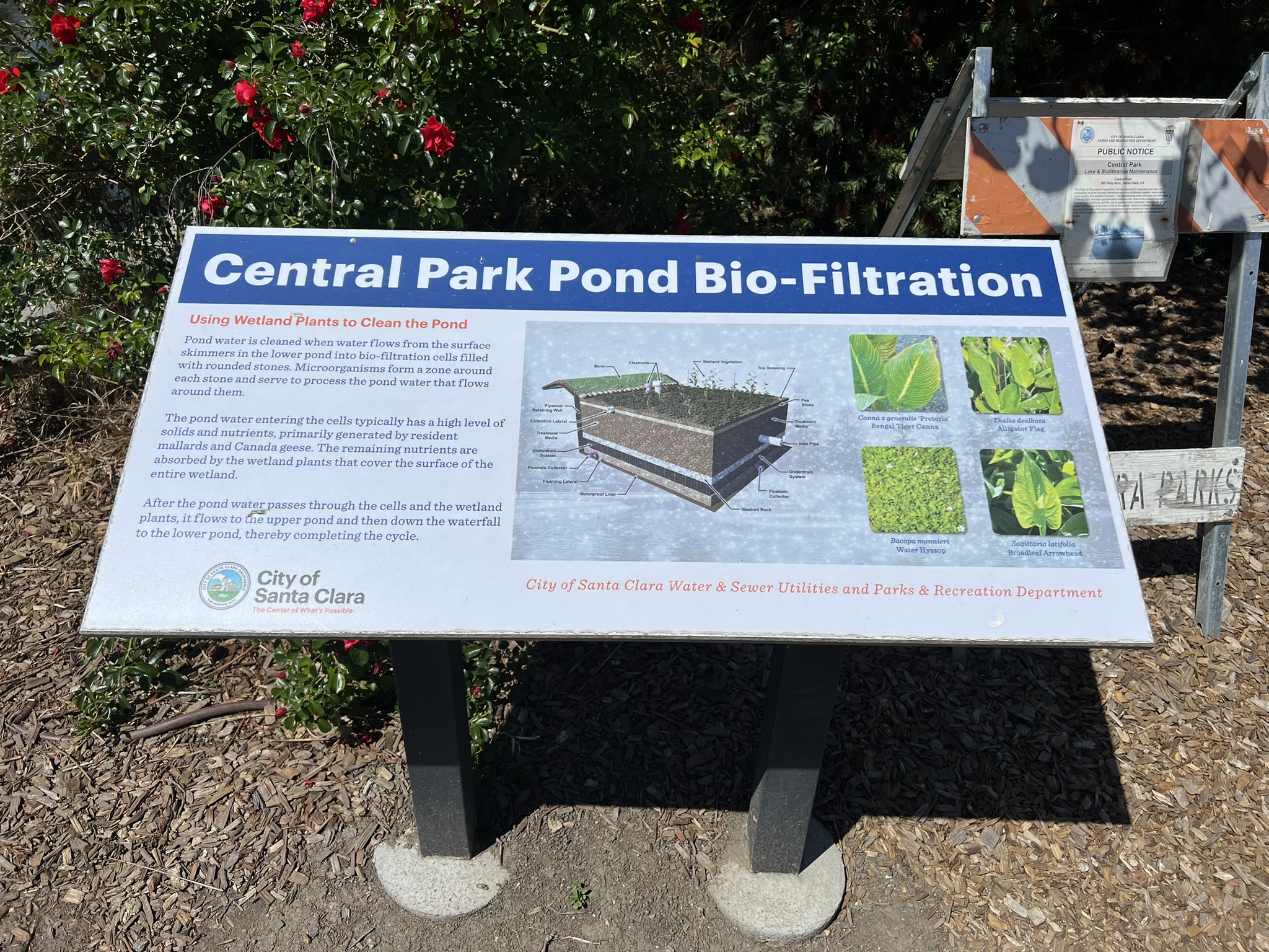 Pond Bio-Filtration