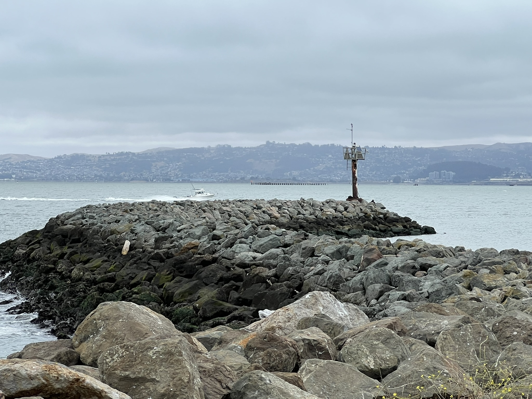 San Francisco 海湾