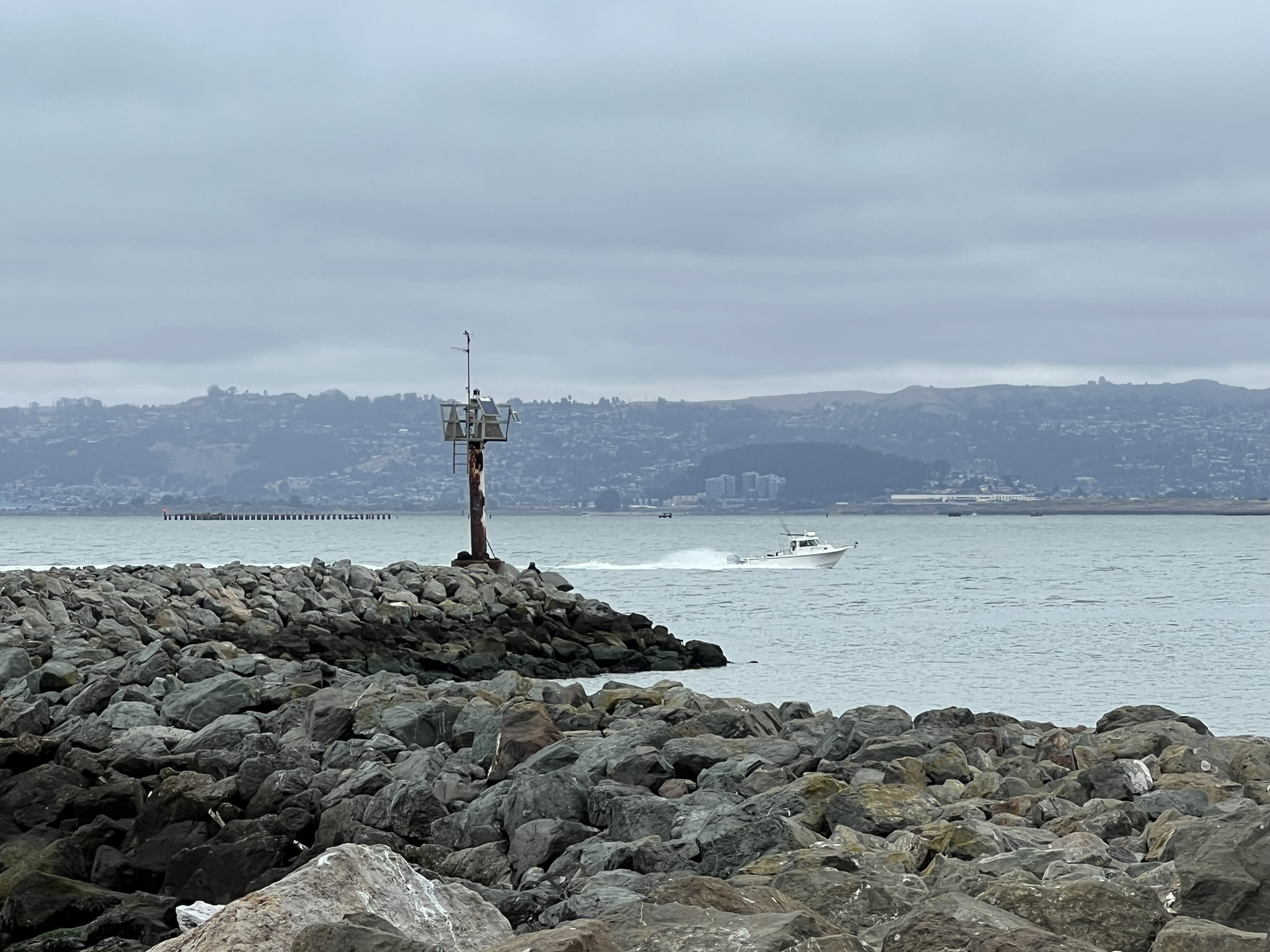 San Francisco 海湾