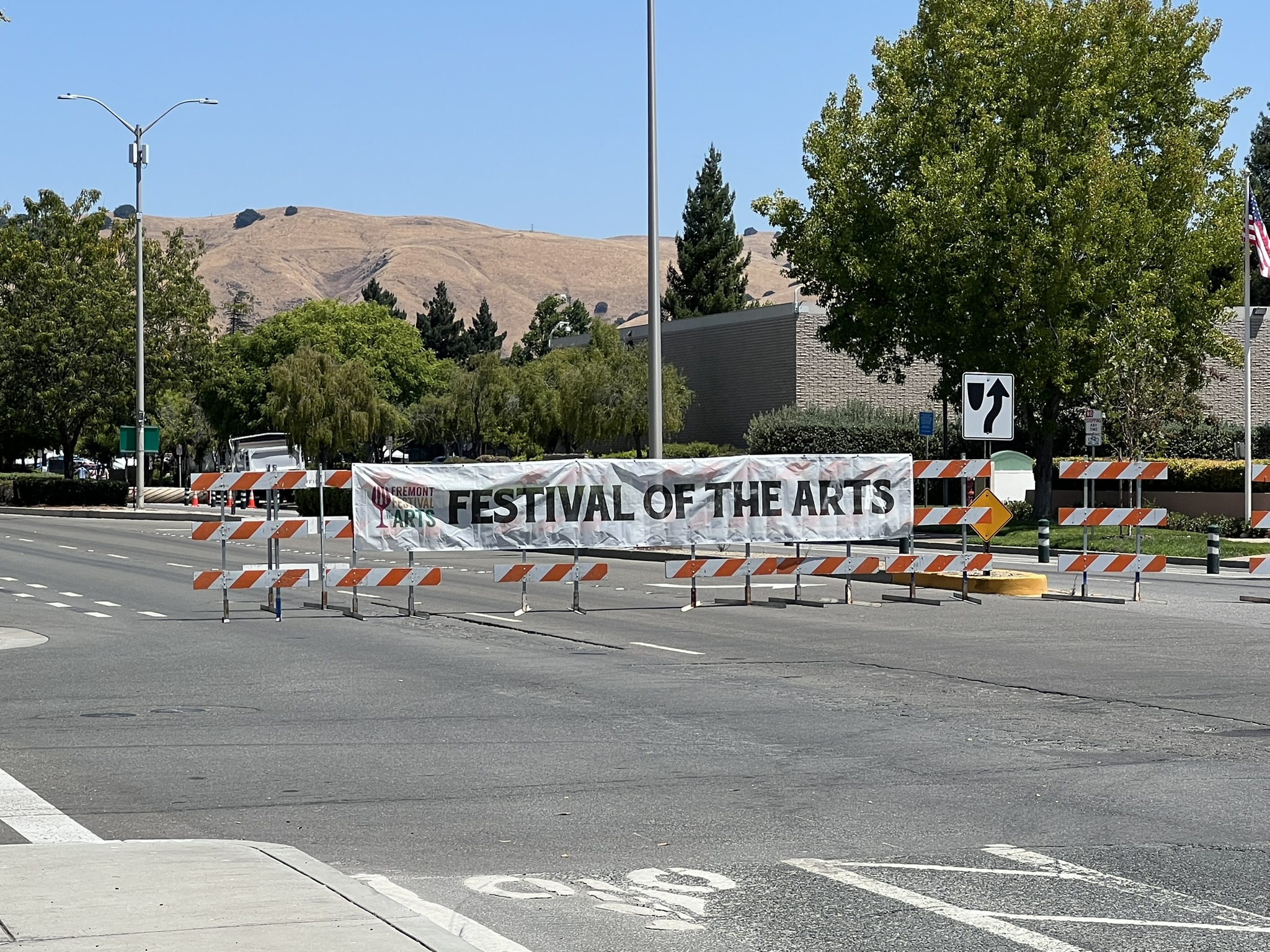 Fremont Festival of the Arts