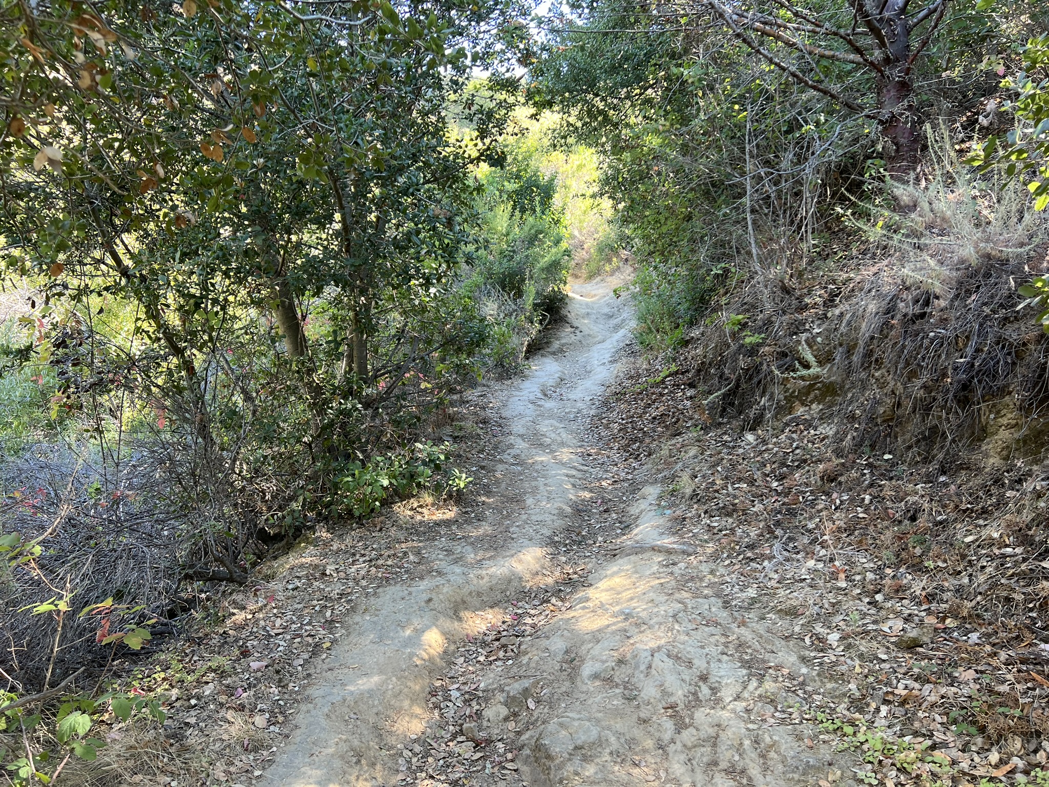 上山比较陡峭