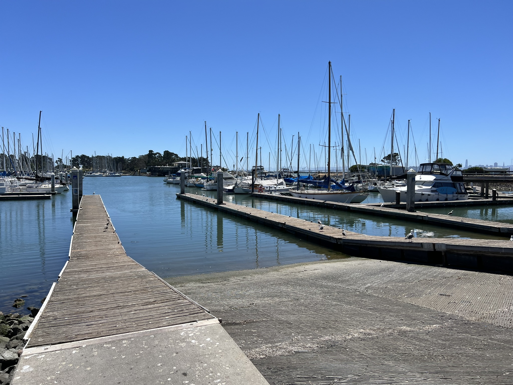 Berkeley Marina Dock