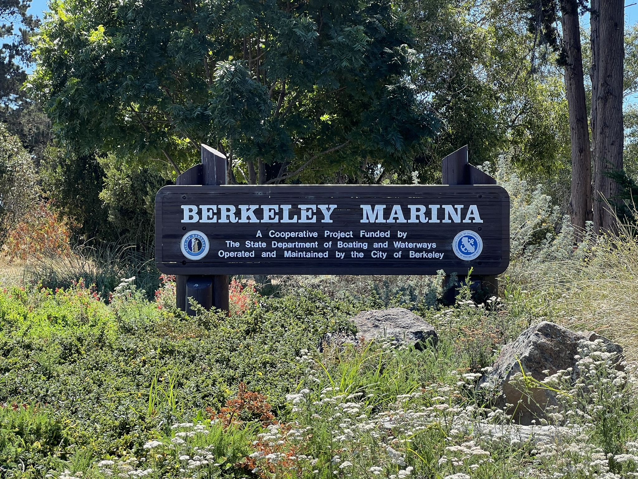 回到 Berkeley Marina