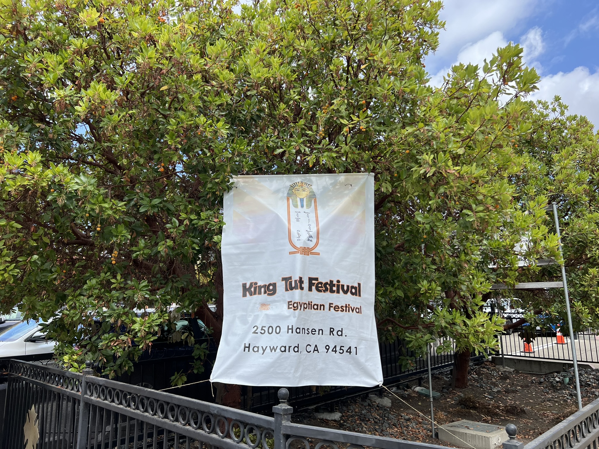 2024 King Tut Festival