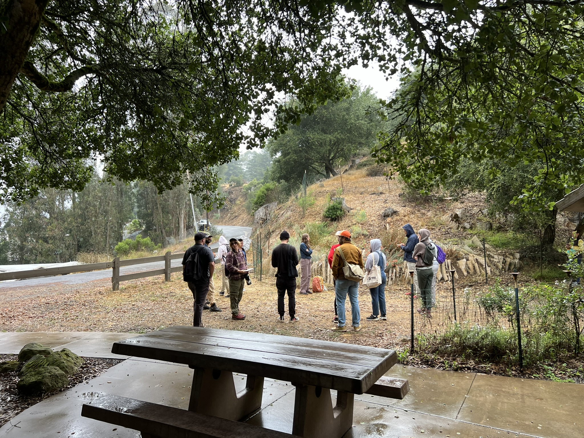 虽然外面下着雨，但是似乎还有人在上课讲解植物，有人拿着笔记本记笔记