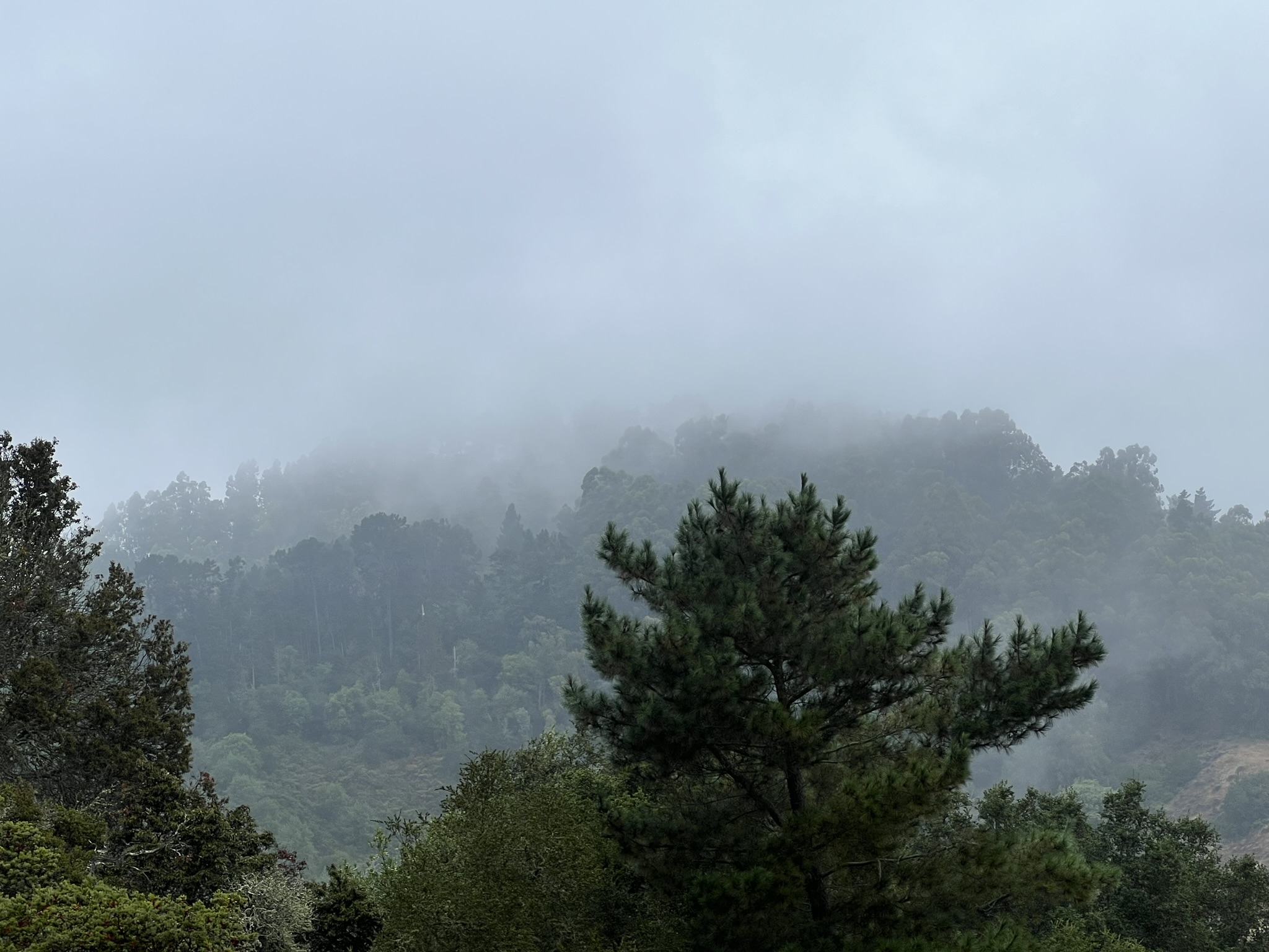 对面的山