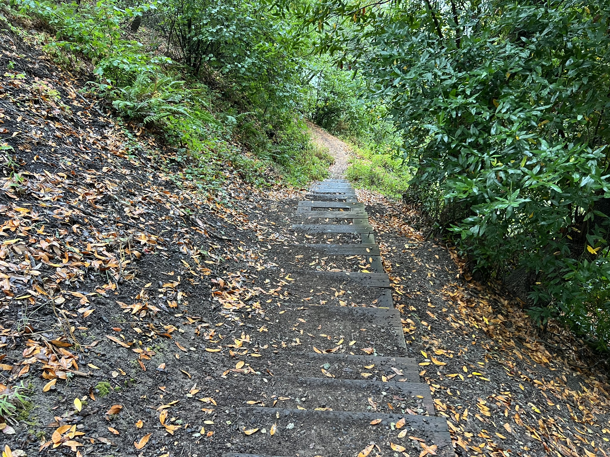 山路