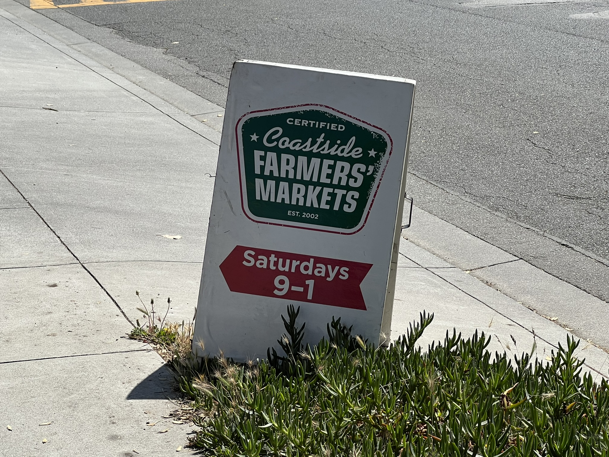 今天刚好是 Farmers’ Market