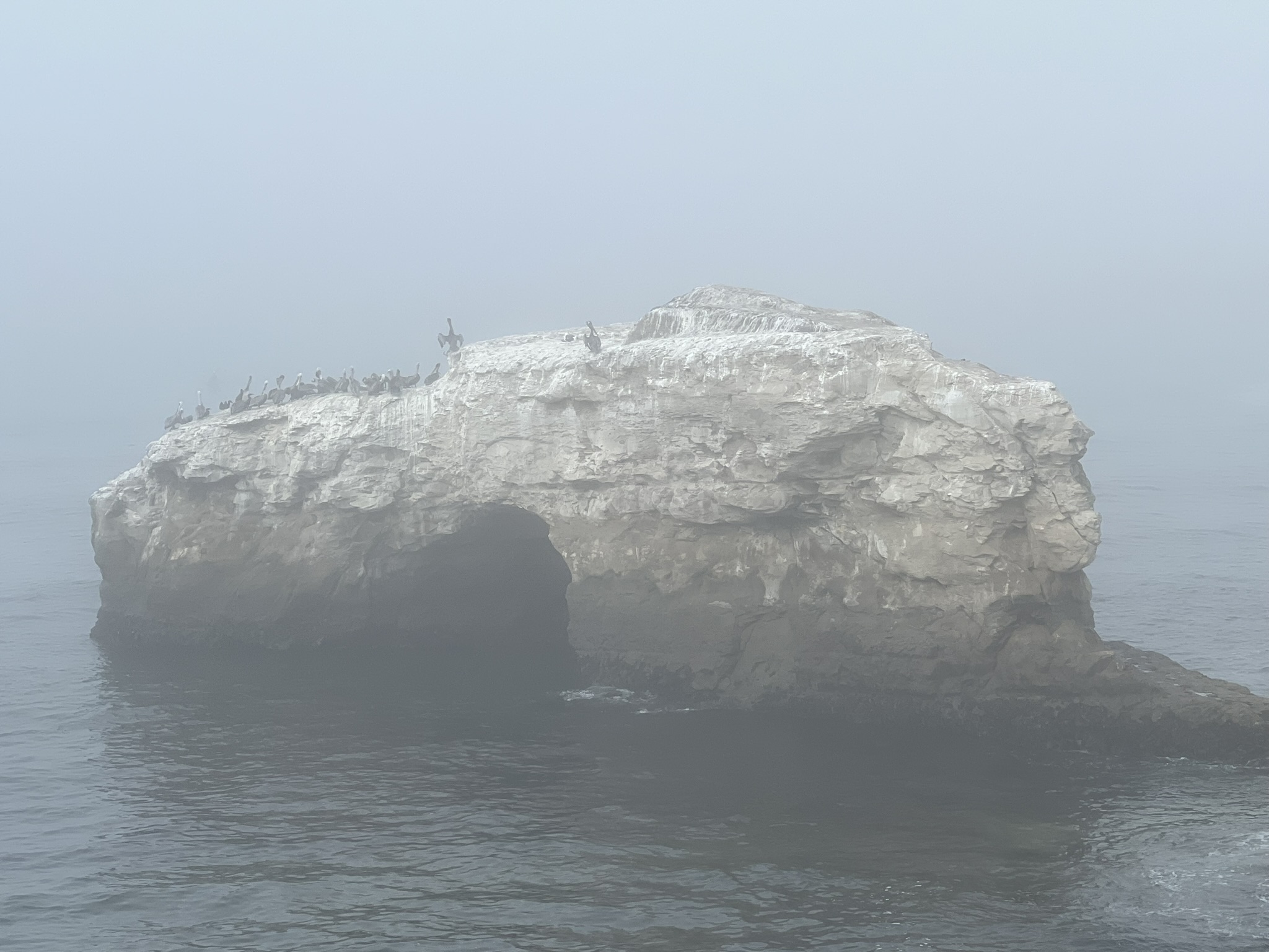 到 Natural Bridges State Beach 之后，海上的雾还没有散去