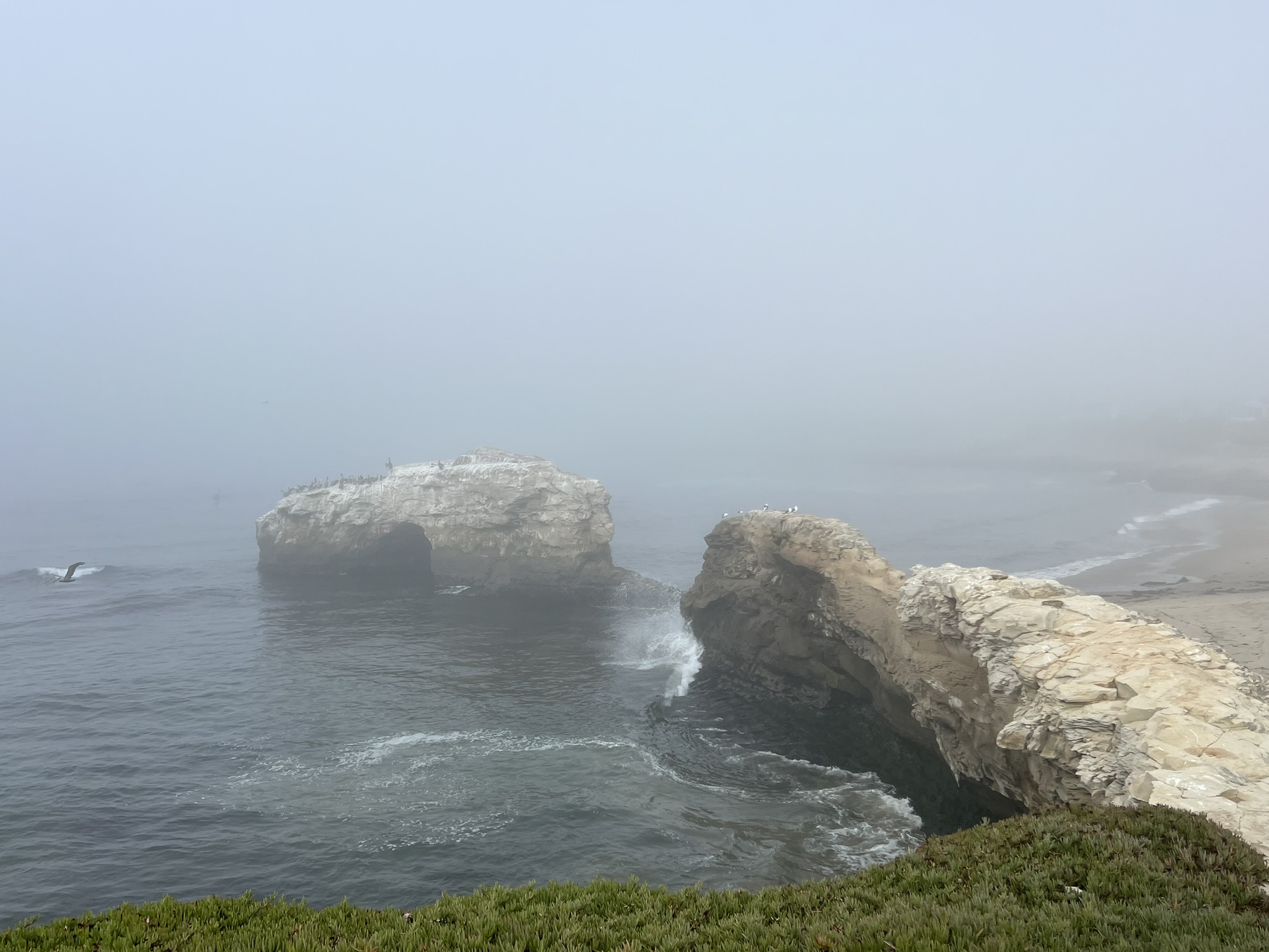 Natural Bridges State Beach 旁的礁石