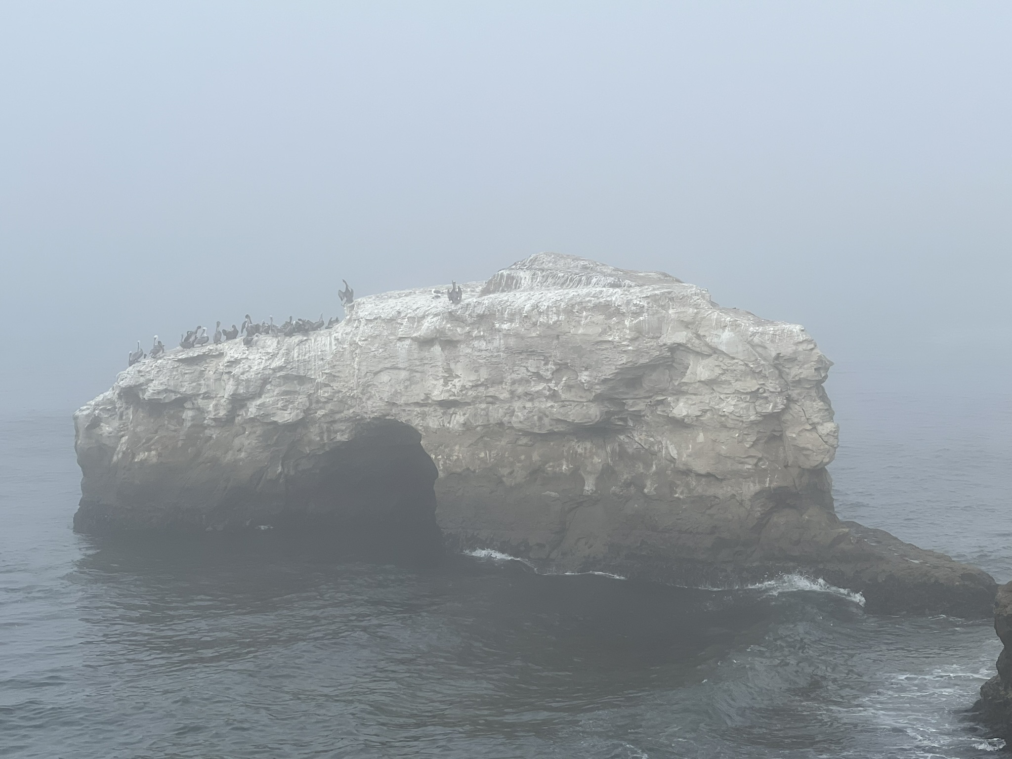 Natural Bridges State Beach 旁的礁石