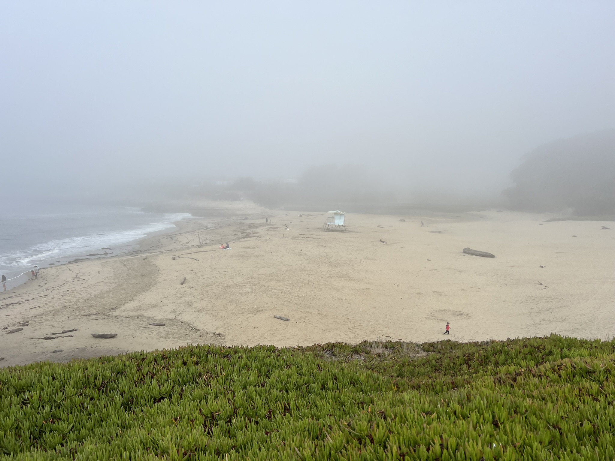 Natural Bridges State Beach