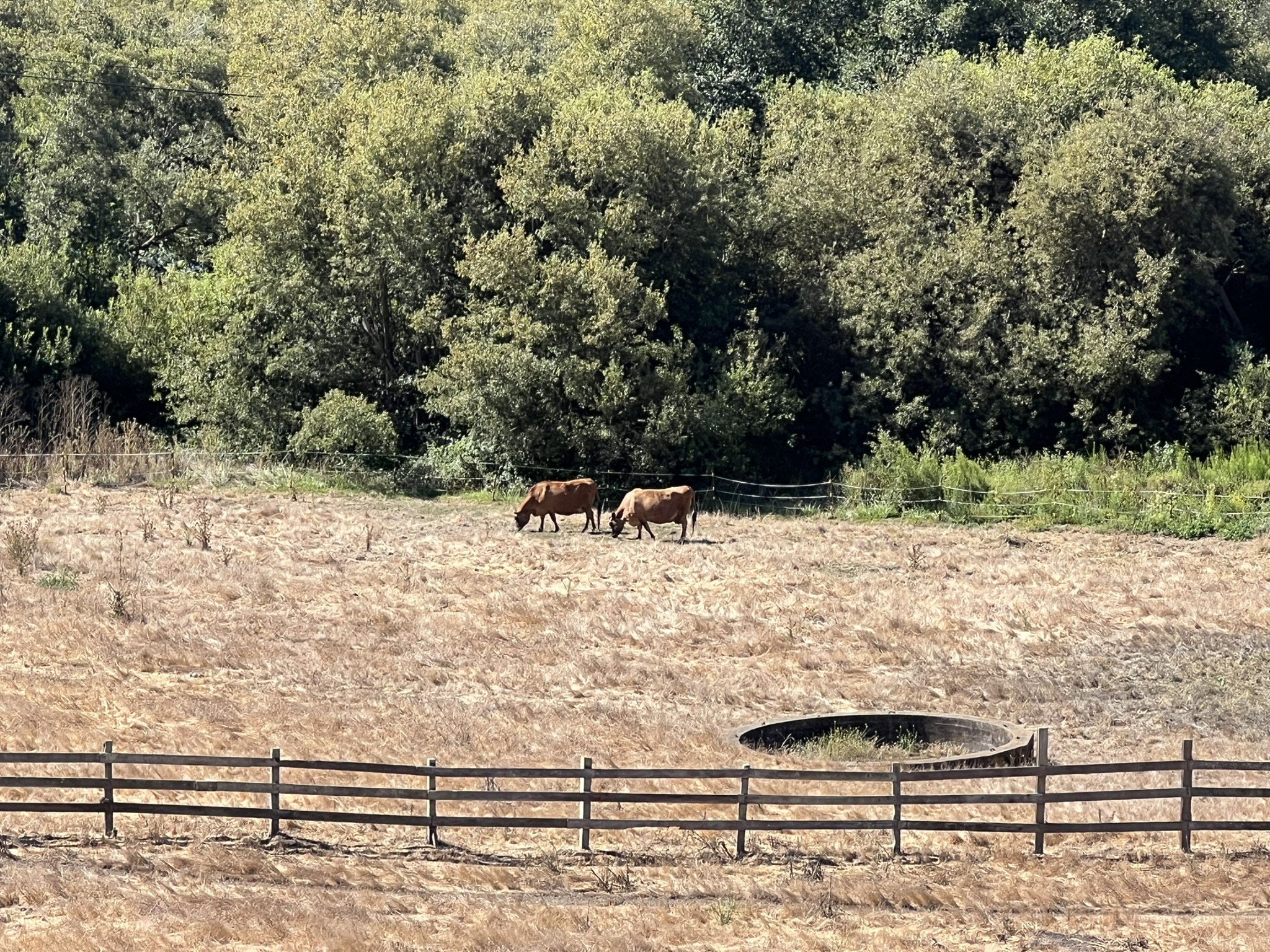 俯瞰 Wild Ranch State Park