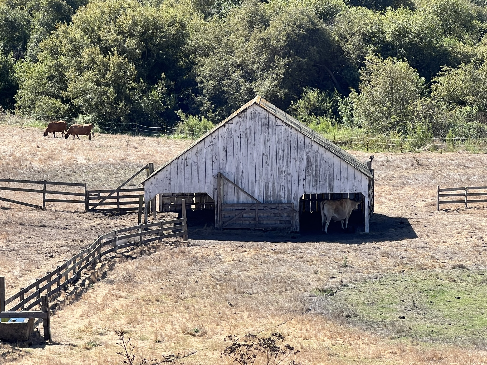 俯瞰 Wild Ranch State Park