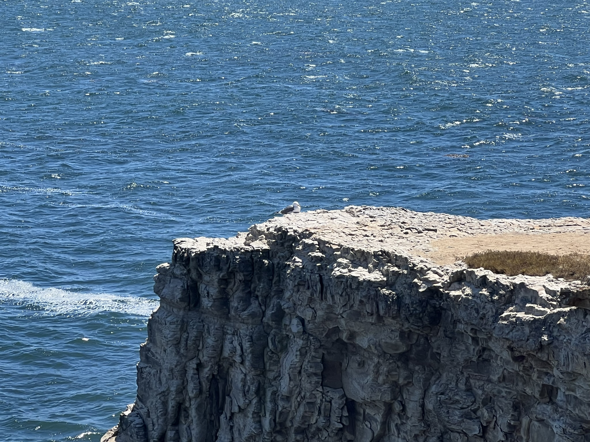 海岸