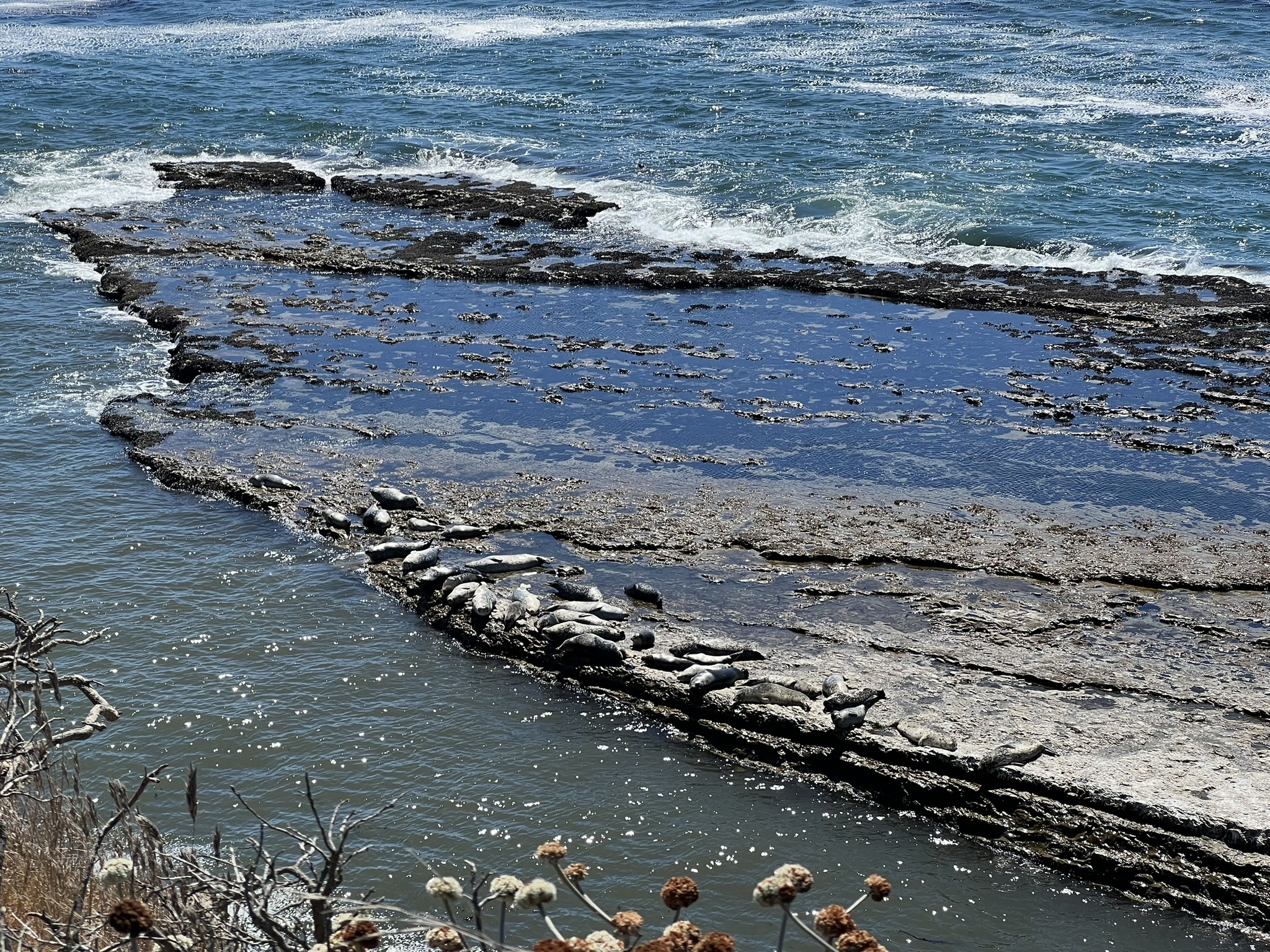 海岸