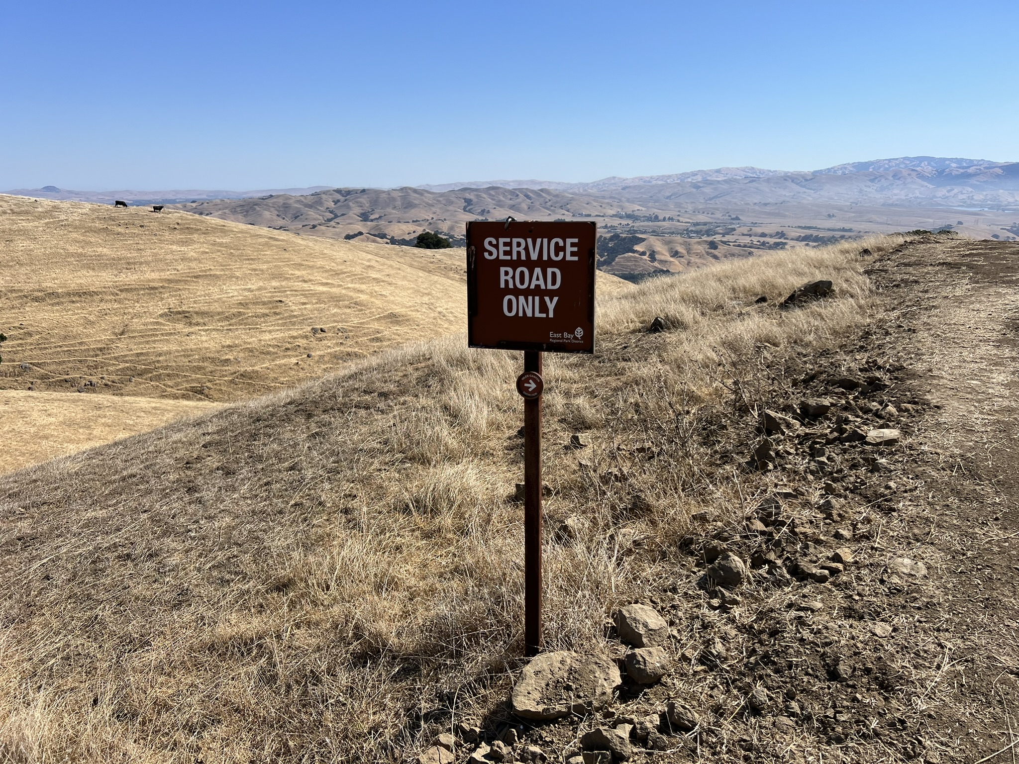 Niles Canyon Overlook