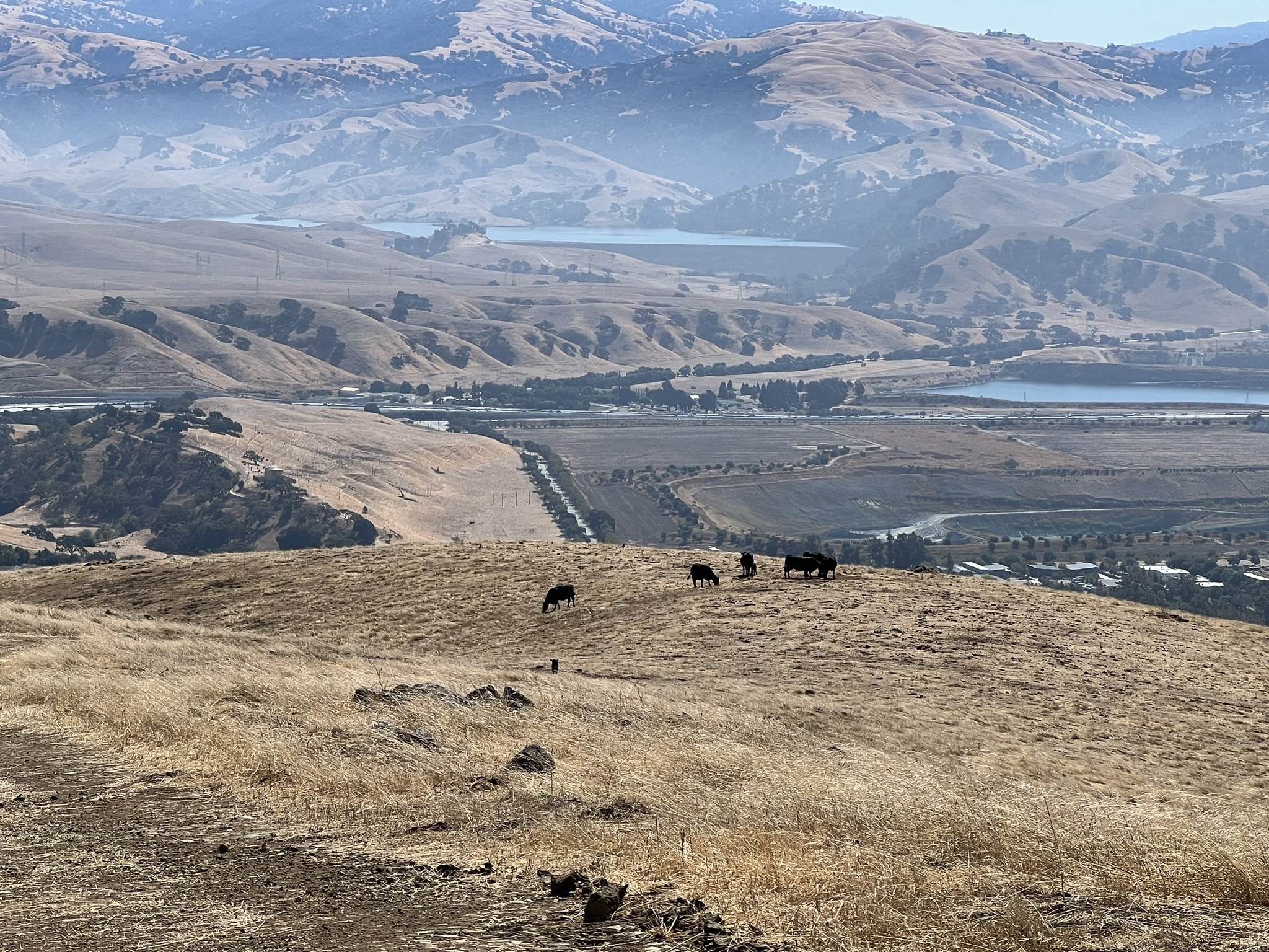 Niles Canyon Overlook