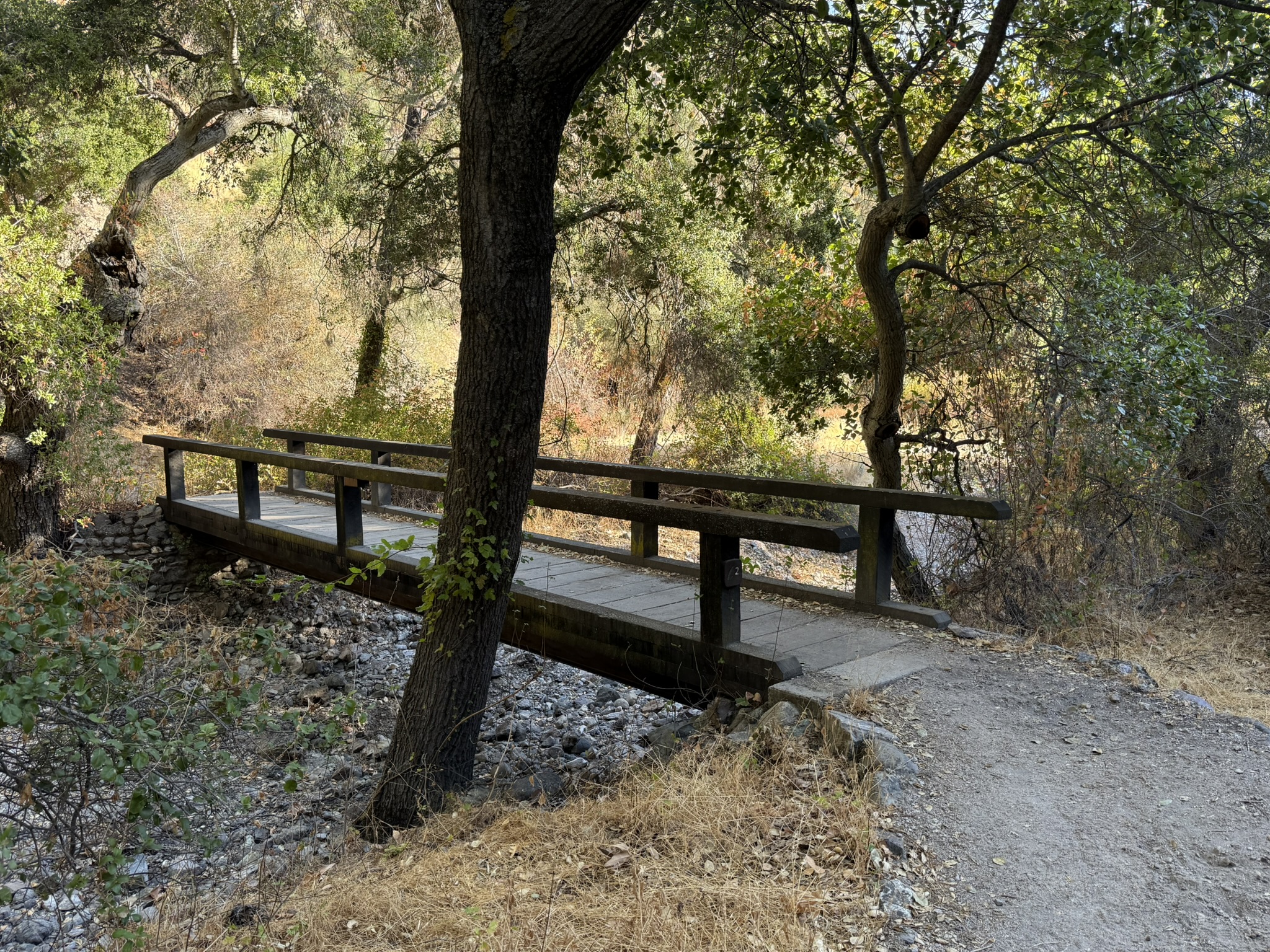 Sycamore Trail