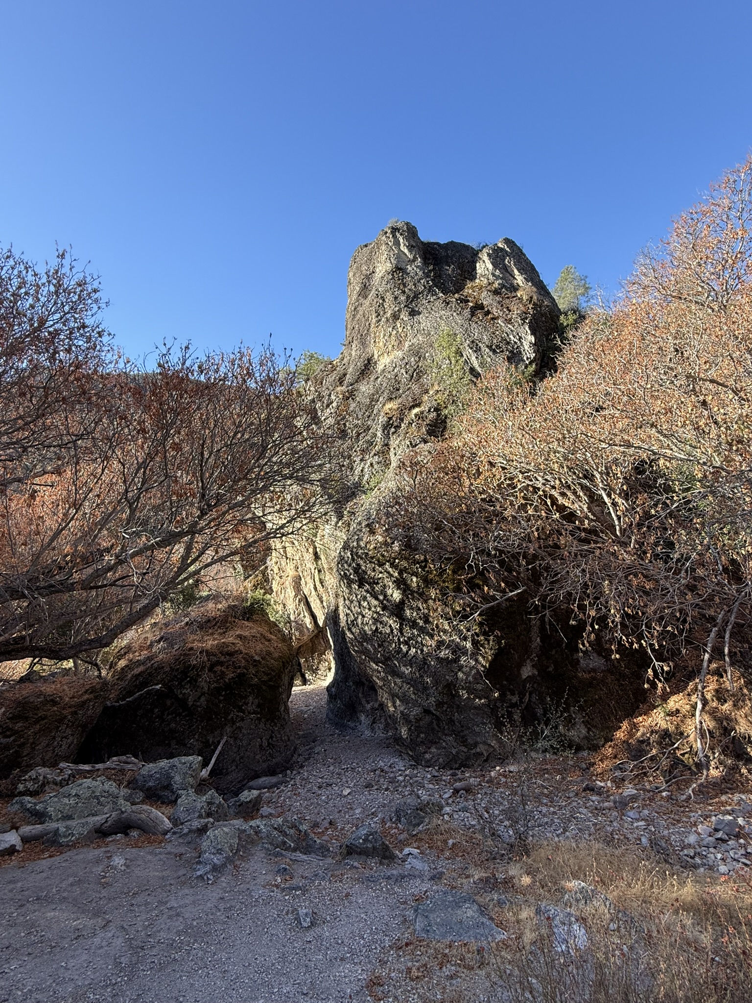 Sycamore Trail