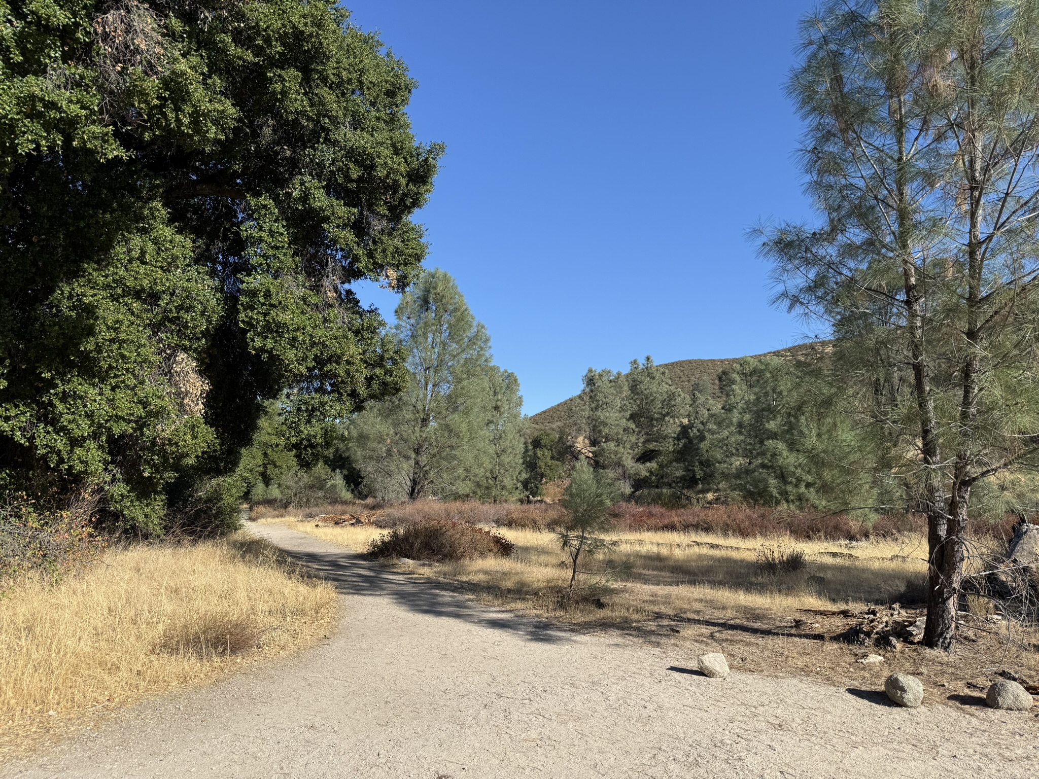 Bench Trail